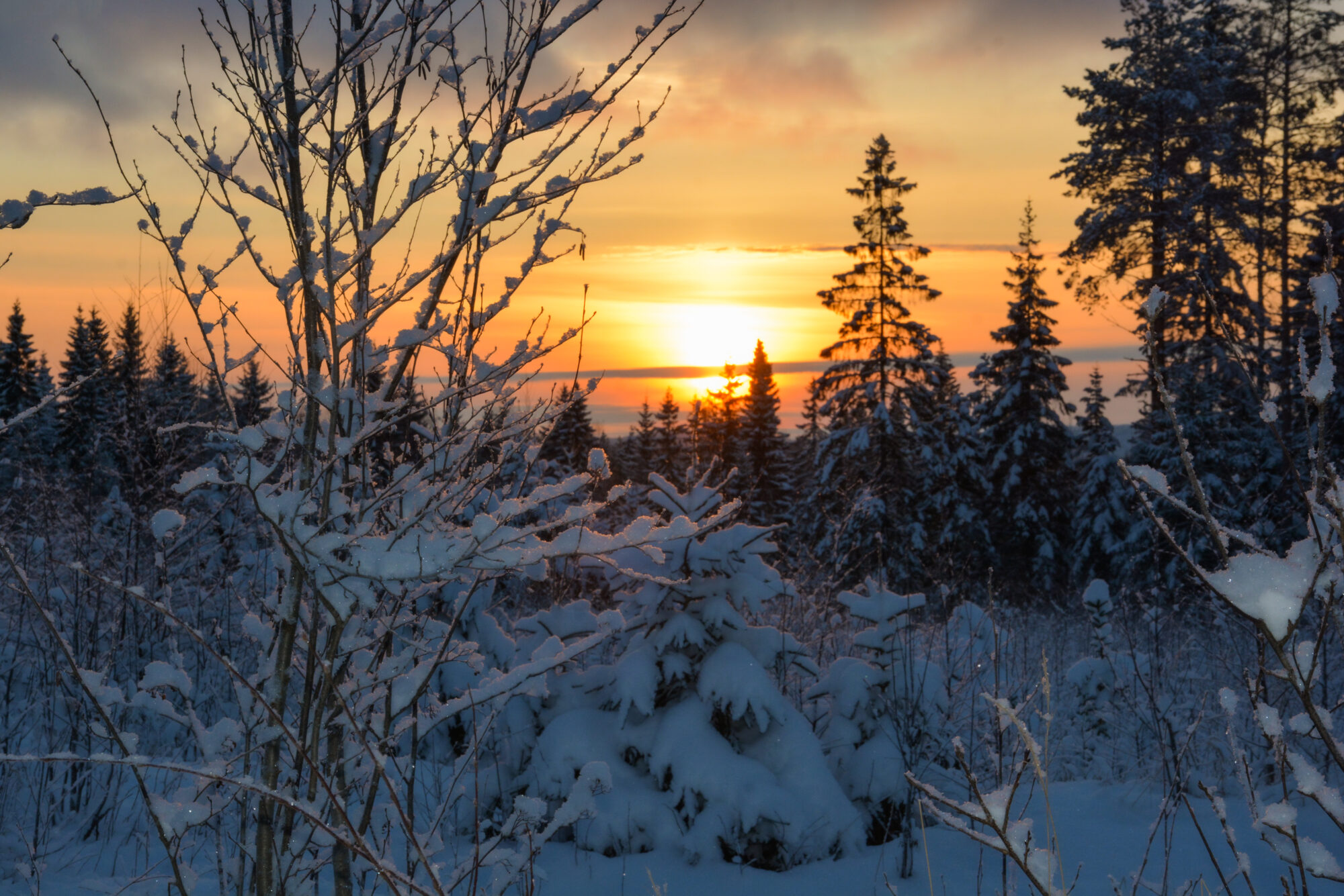 Valokuvaaja: Maija Savolainen