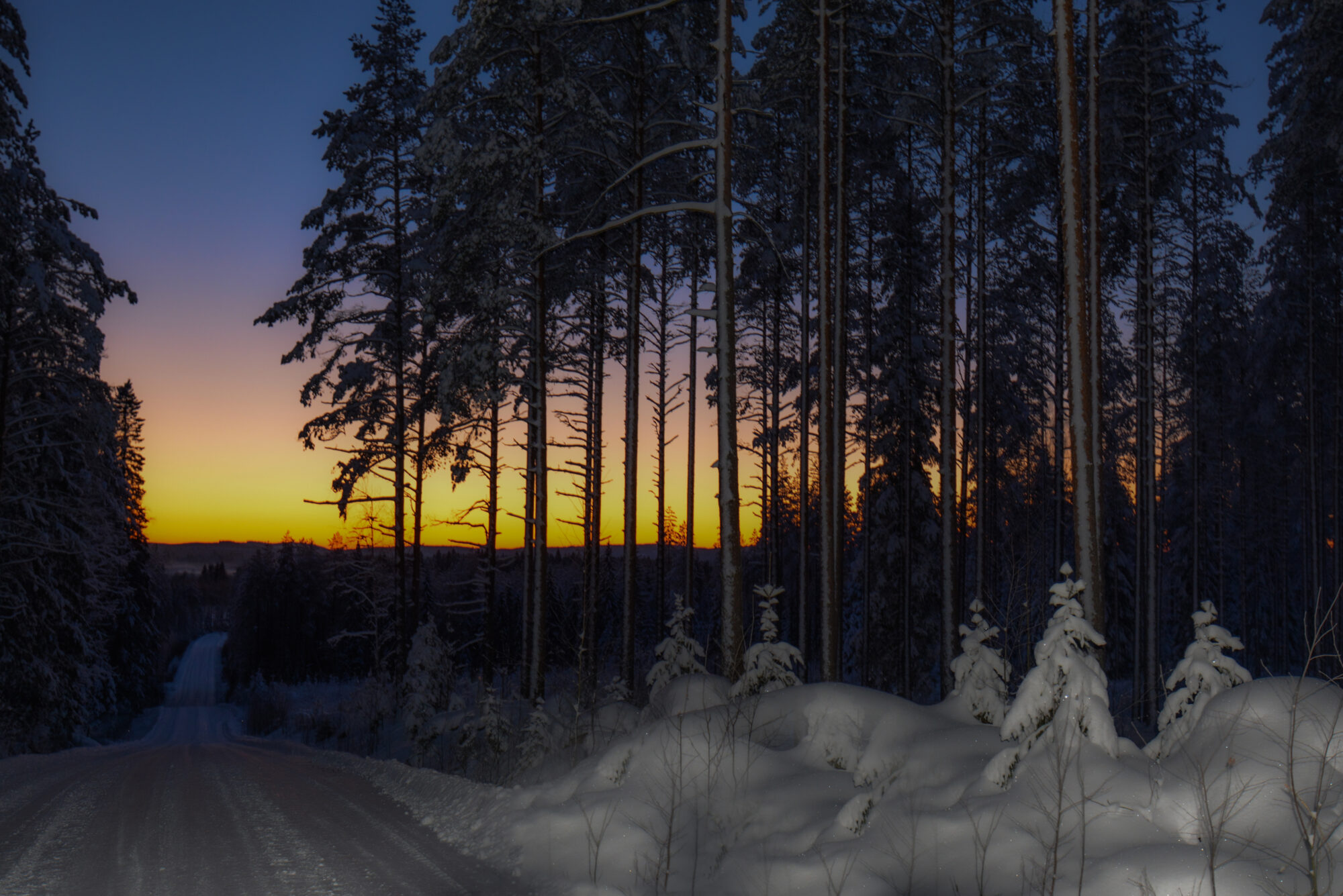 Valokuvaaja: Maija Savolainen