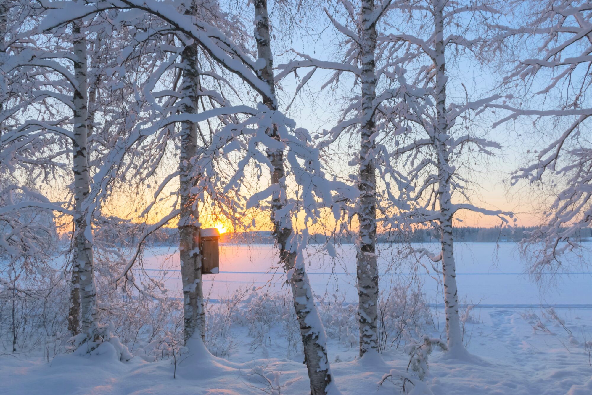 Valokuvaaja: Leena Rissanen