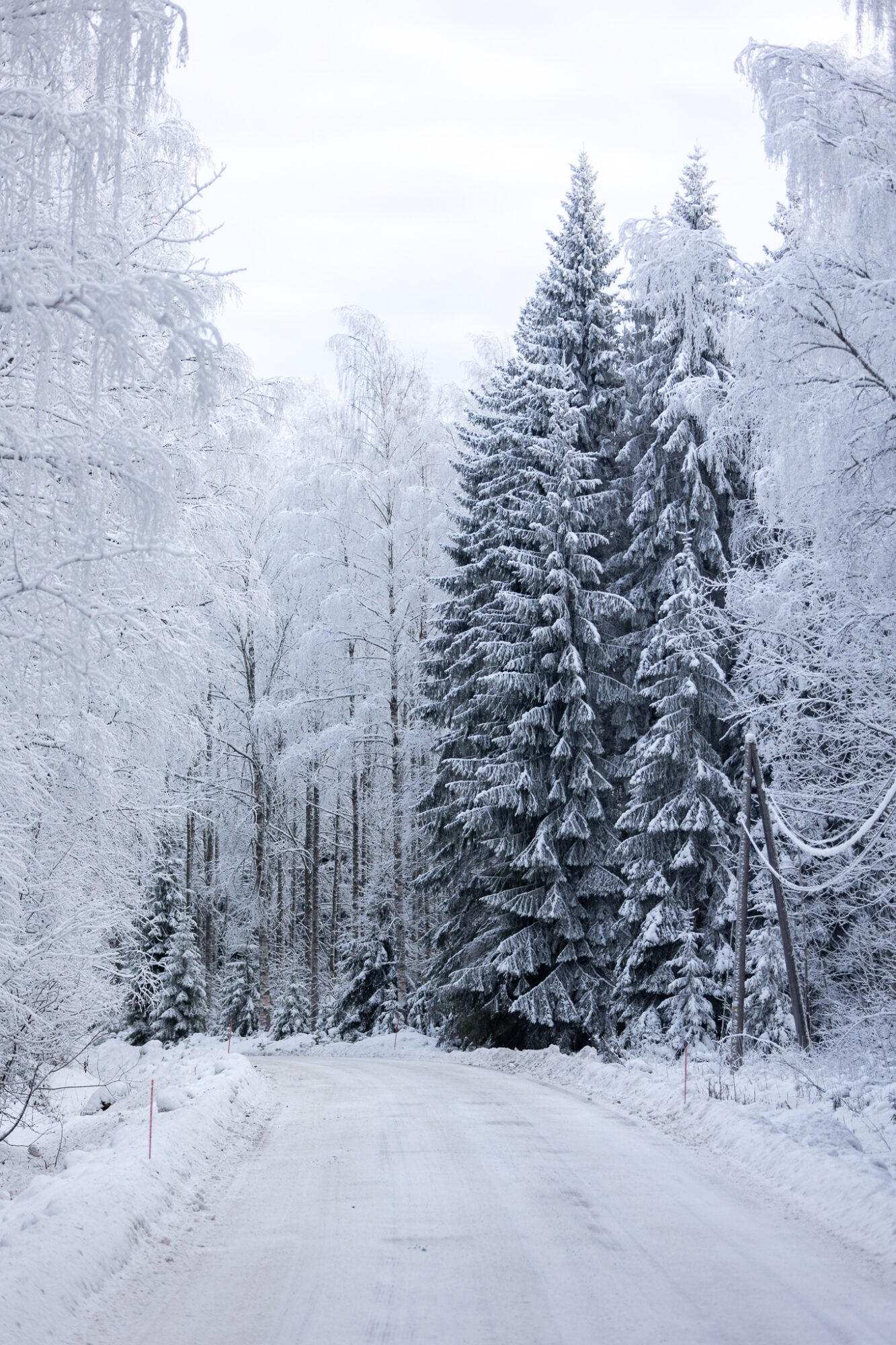 Valokuvaaja: Antti Toivanen