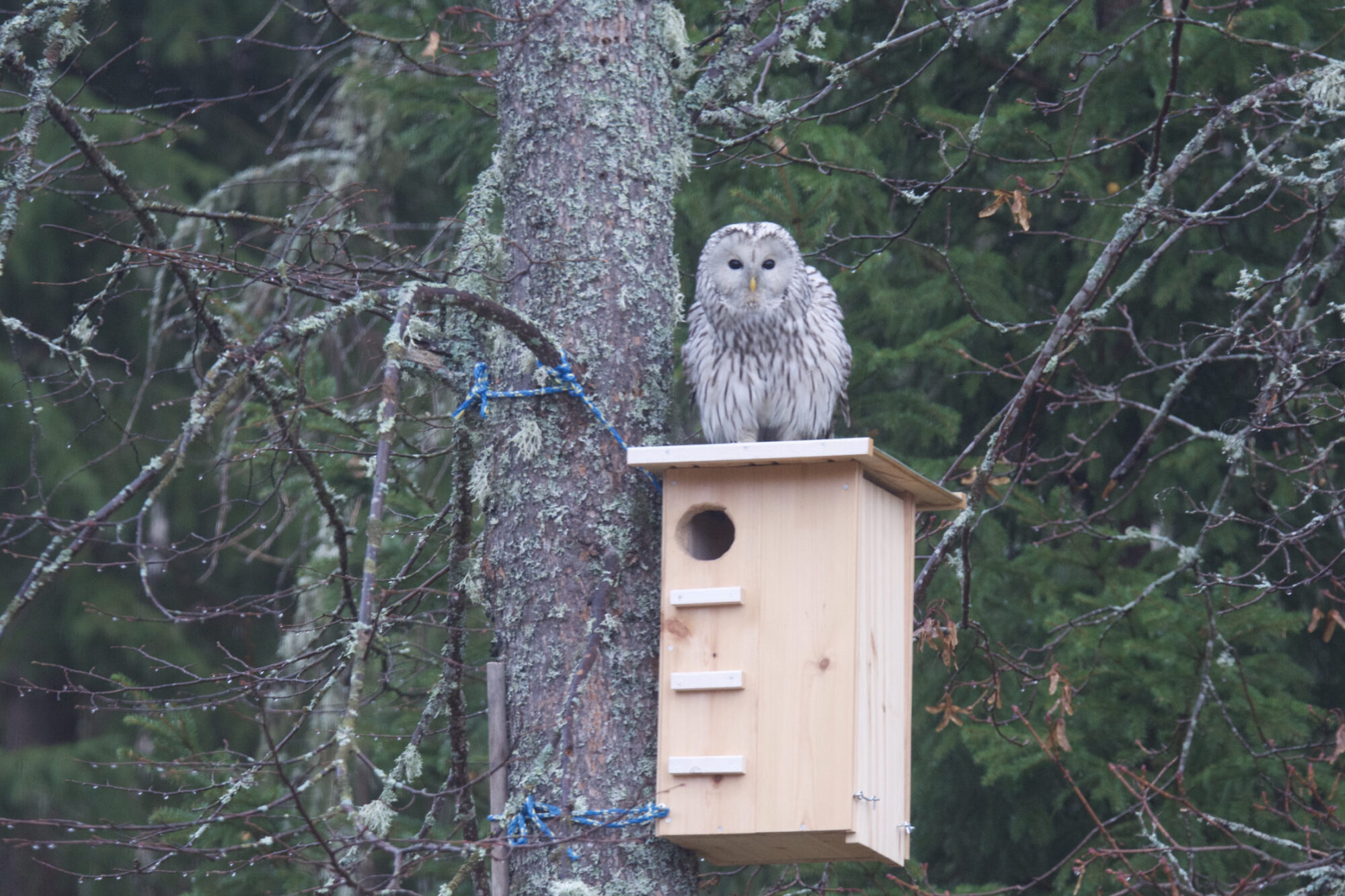 Valokuvaaja: Markku Pietinen