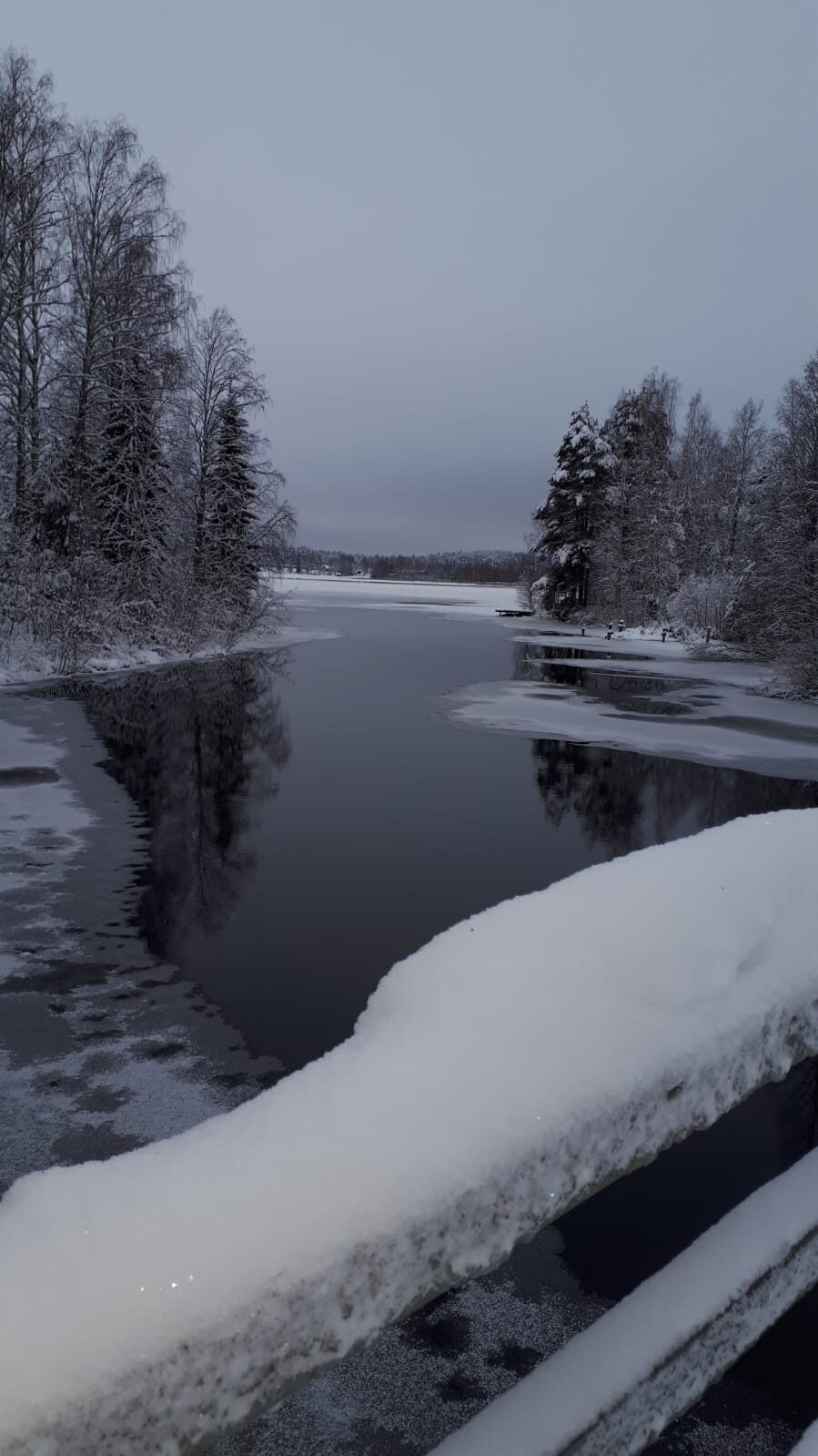 Valokuvaaja: Seija Pursiainen Valokuvaaja: Seija Pursiainen