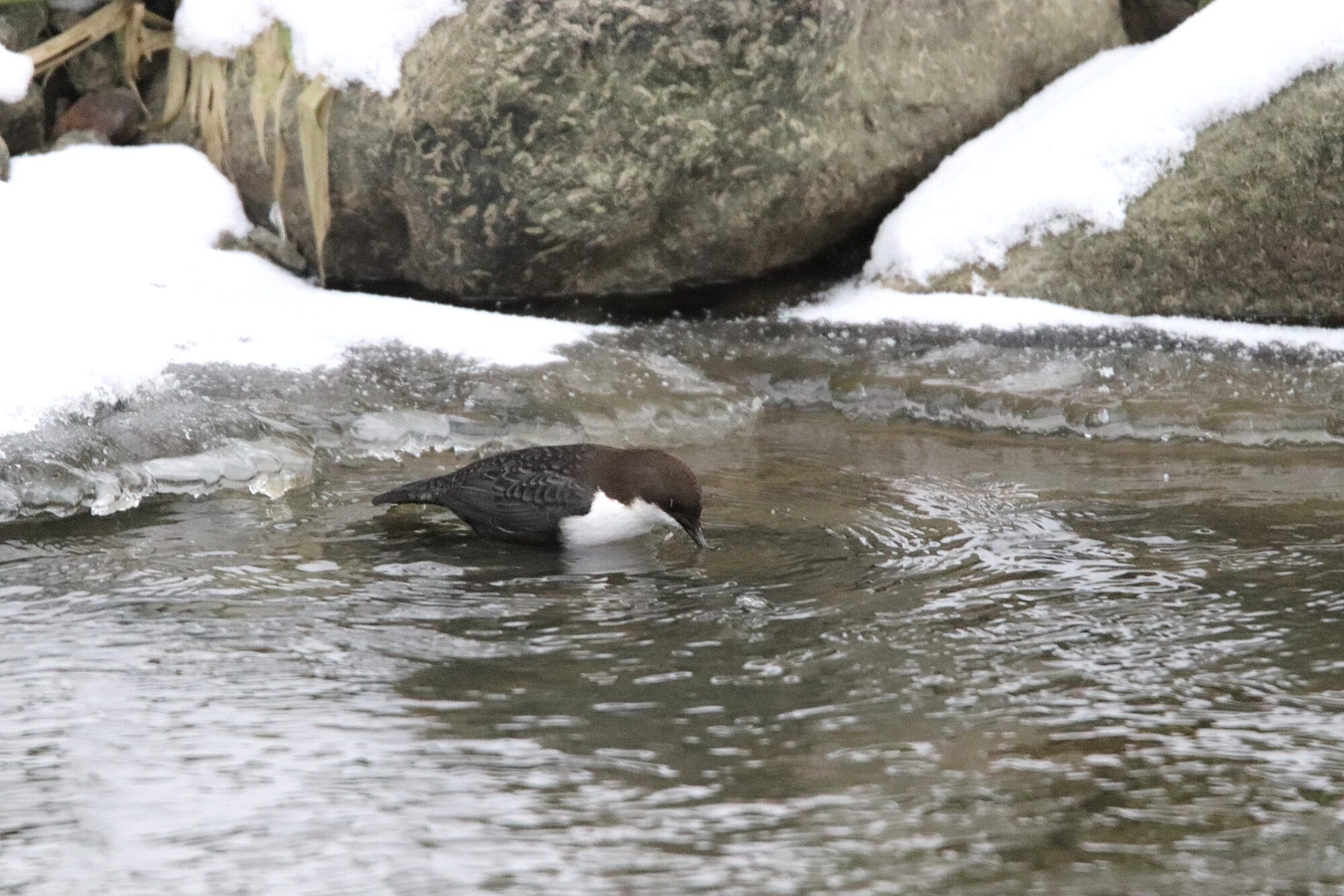 Valokuvaaja: Irja Lehtinen