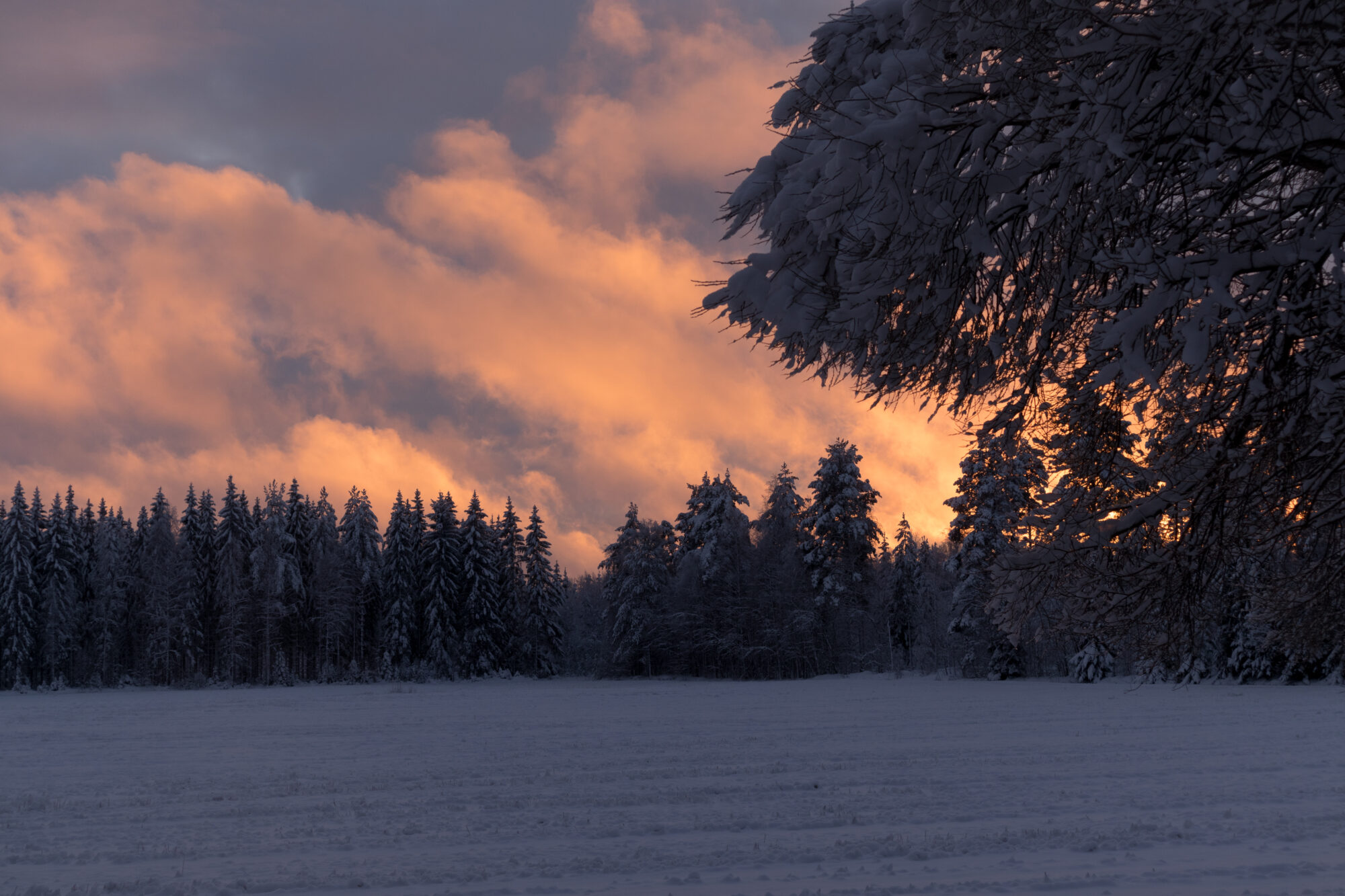 Valokuvaaja: Rauni Hyttinen