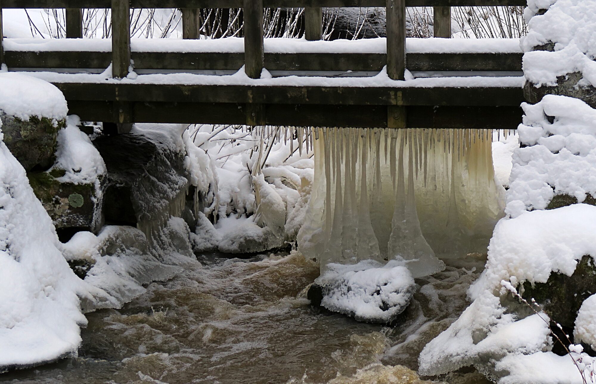 Valokuvaaja: Kati Westerlund