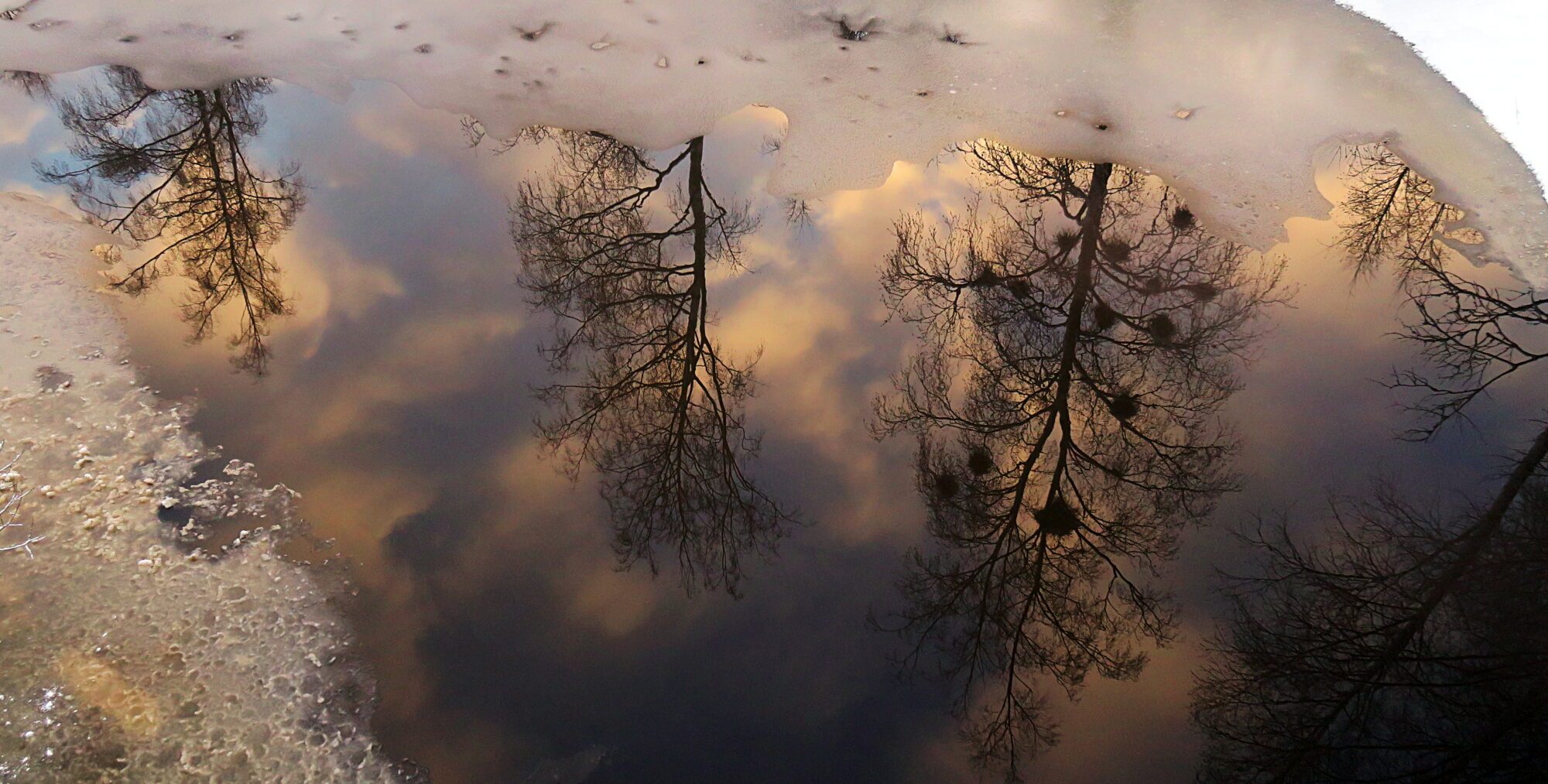 Valokuvaaja: Kati Westerlund