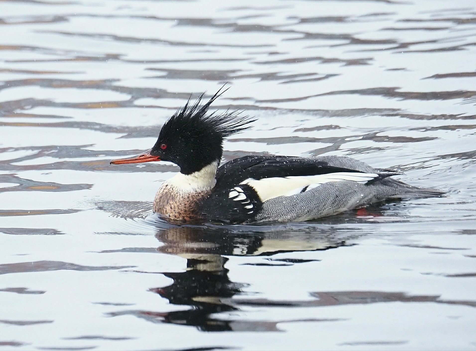 Valokuvaaja: Mikkola Irma
