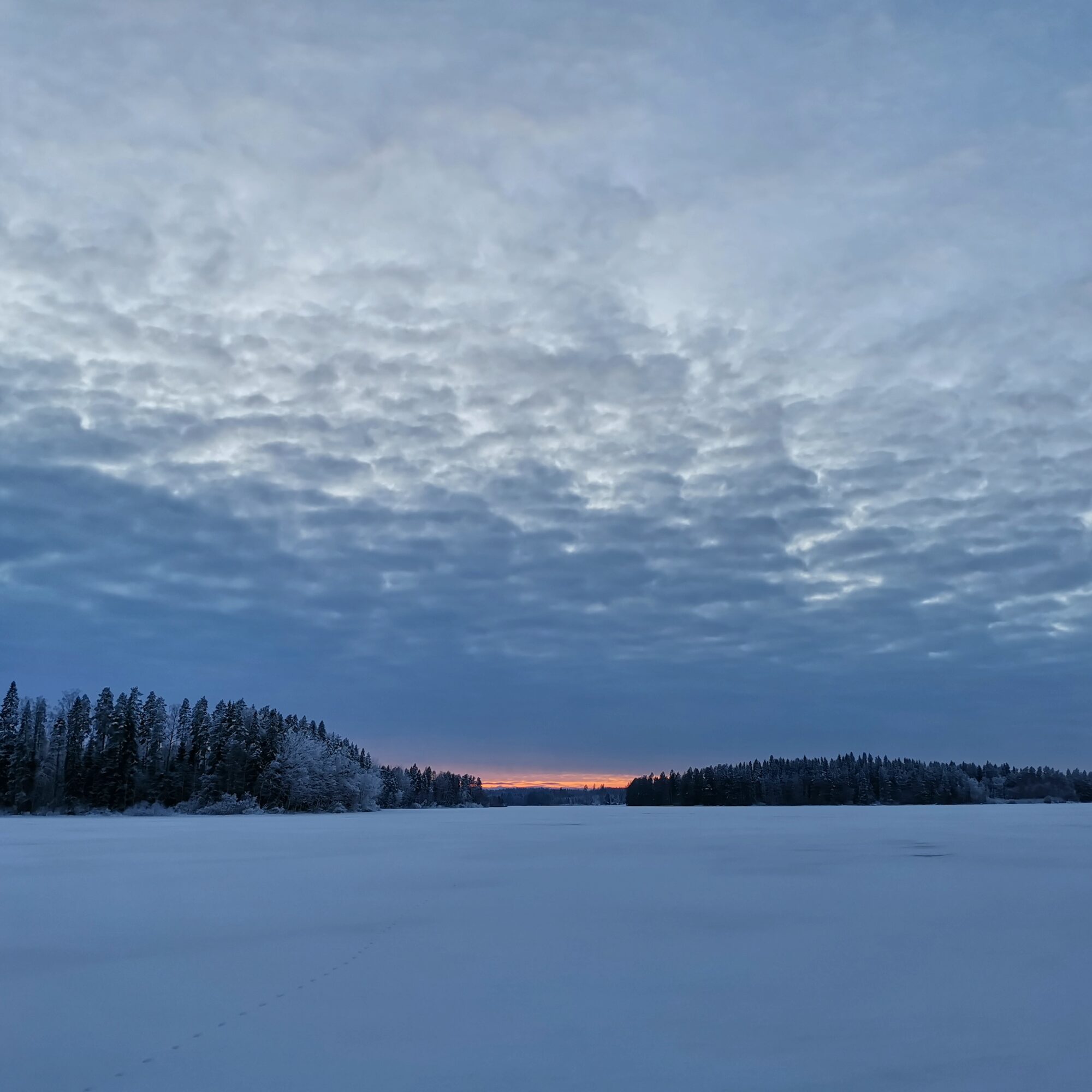 Valokuvaaja: Tapio Keinonen