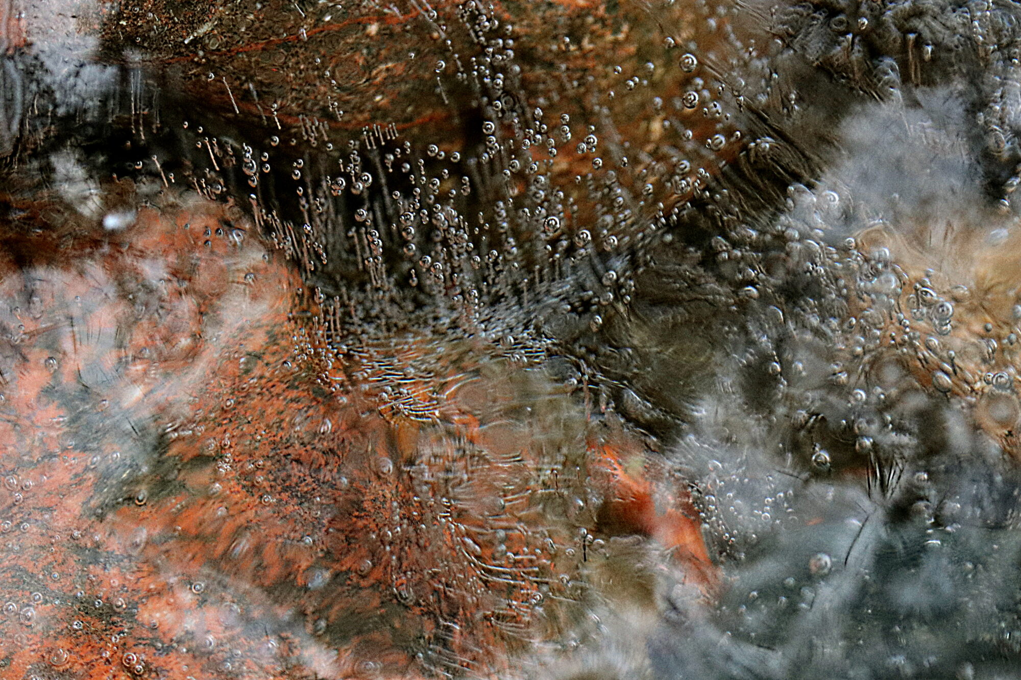 Valokuvaaja: Ritva Nieminen