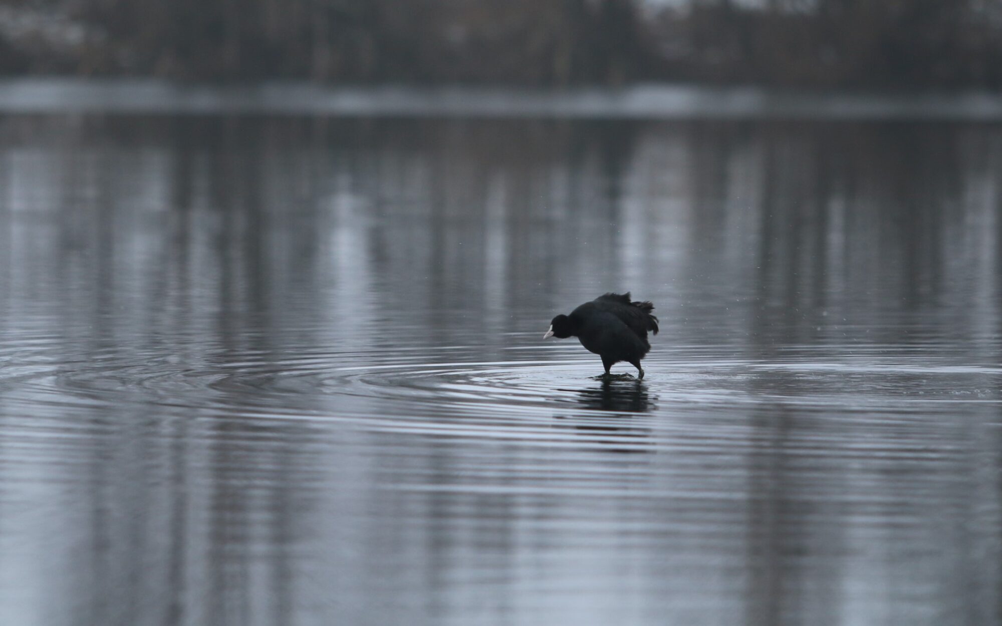 Valokuvaaja: Teija Järvenpää