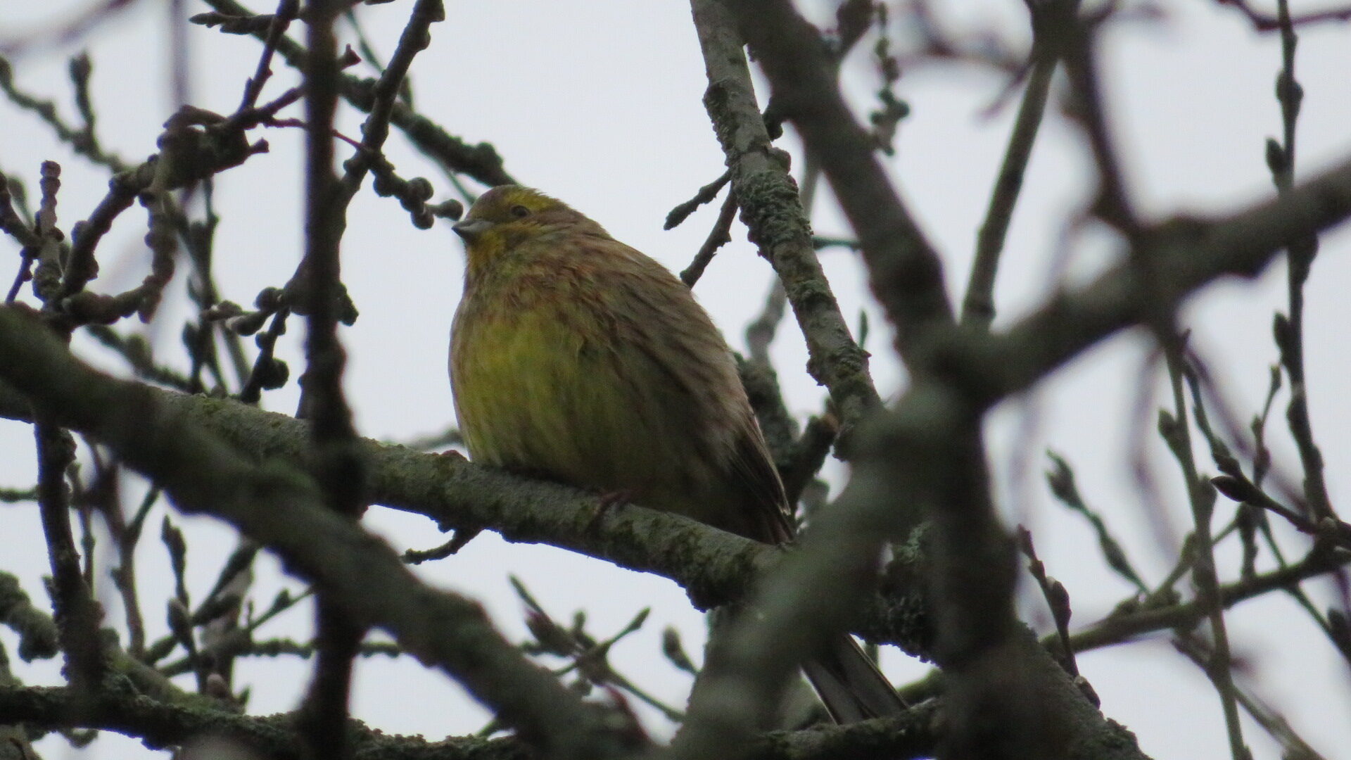Valokuvaaja: Risto Kangassalo Valokuvaaja: Risto Kangassalo