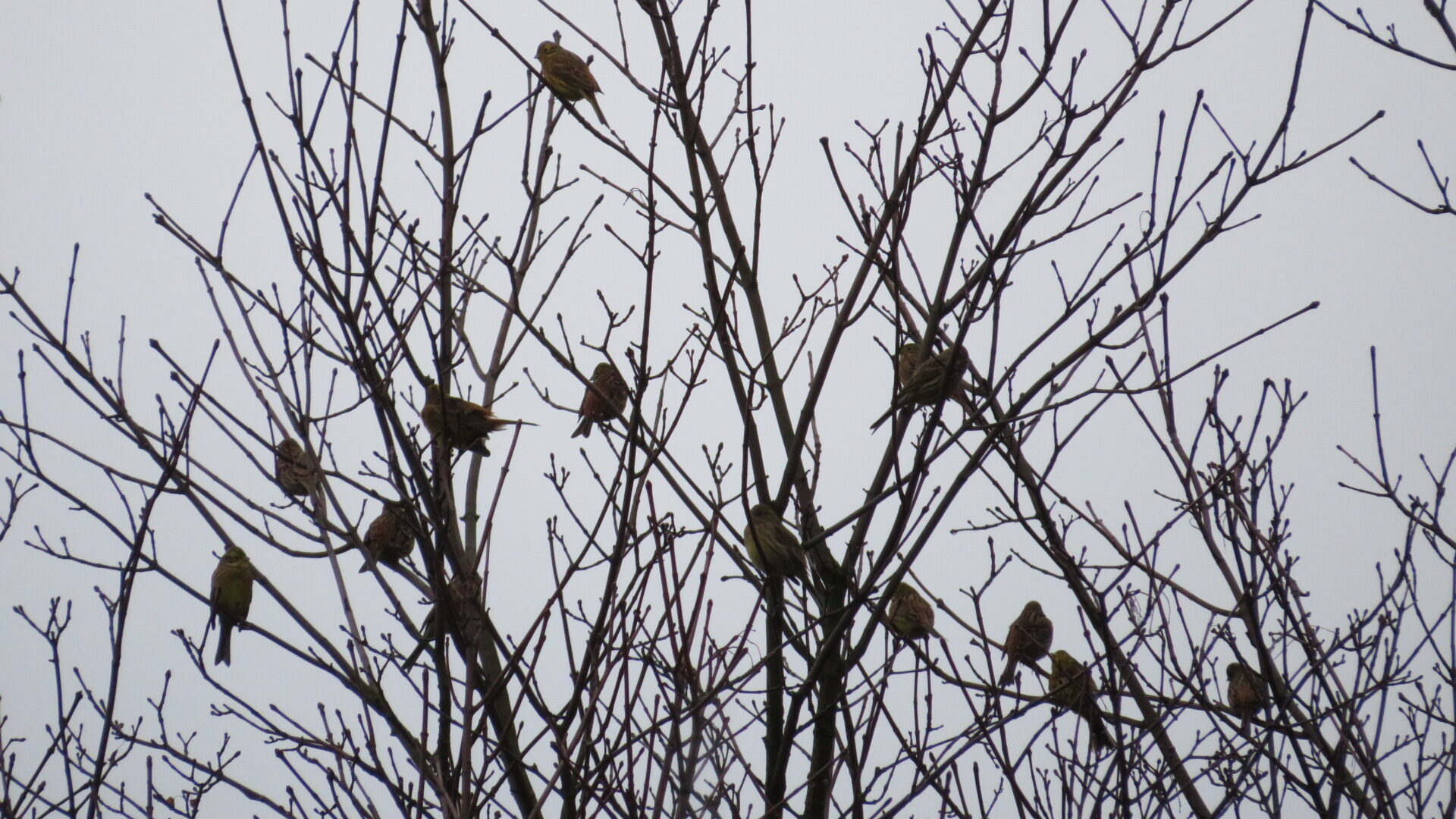 Valokuvaaja: Risto Kangassalo