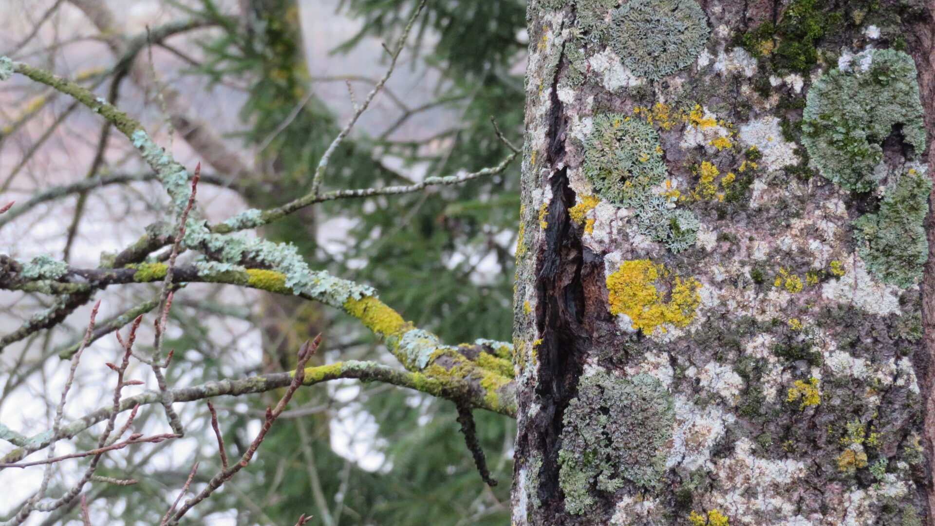 Valokuvaaja: Risto Kangassalo