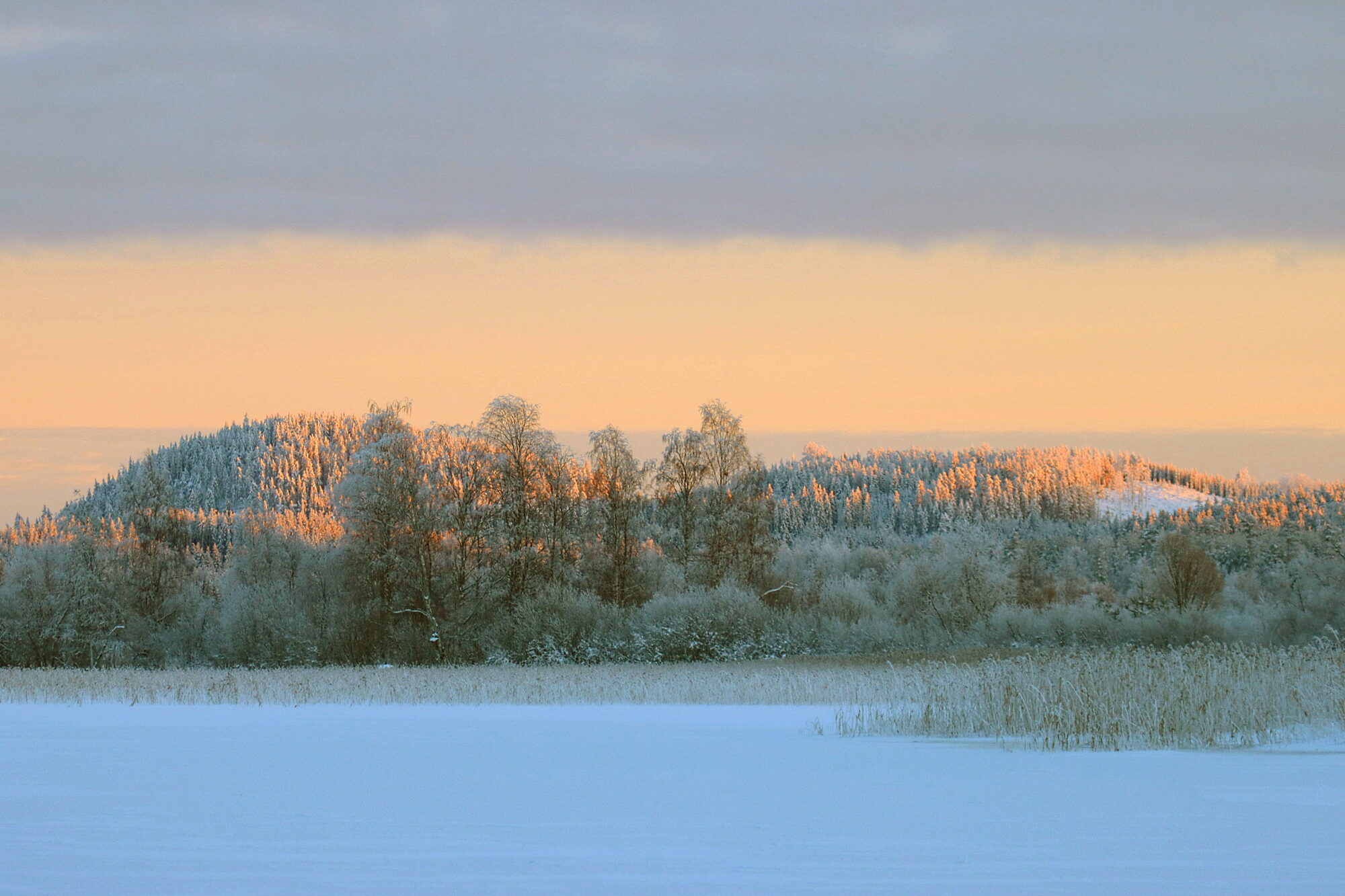 Valokuvaaja: Ritva Nieminen Valokuvaaja: Ritva Nieminen