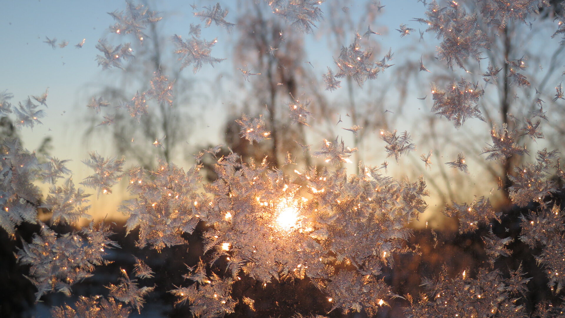 Valokuvaaja: Risto Kangassalo