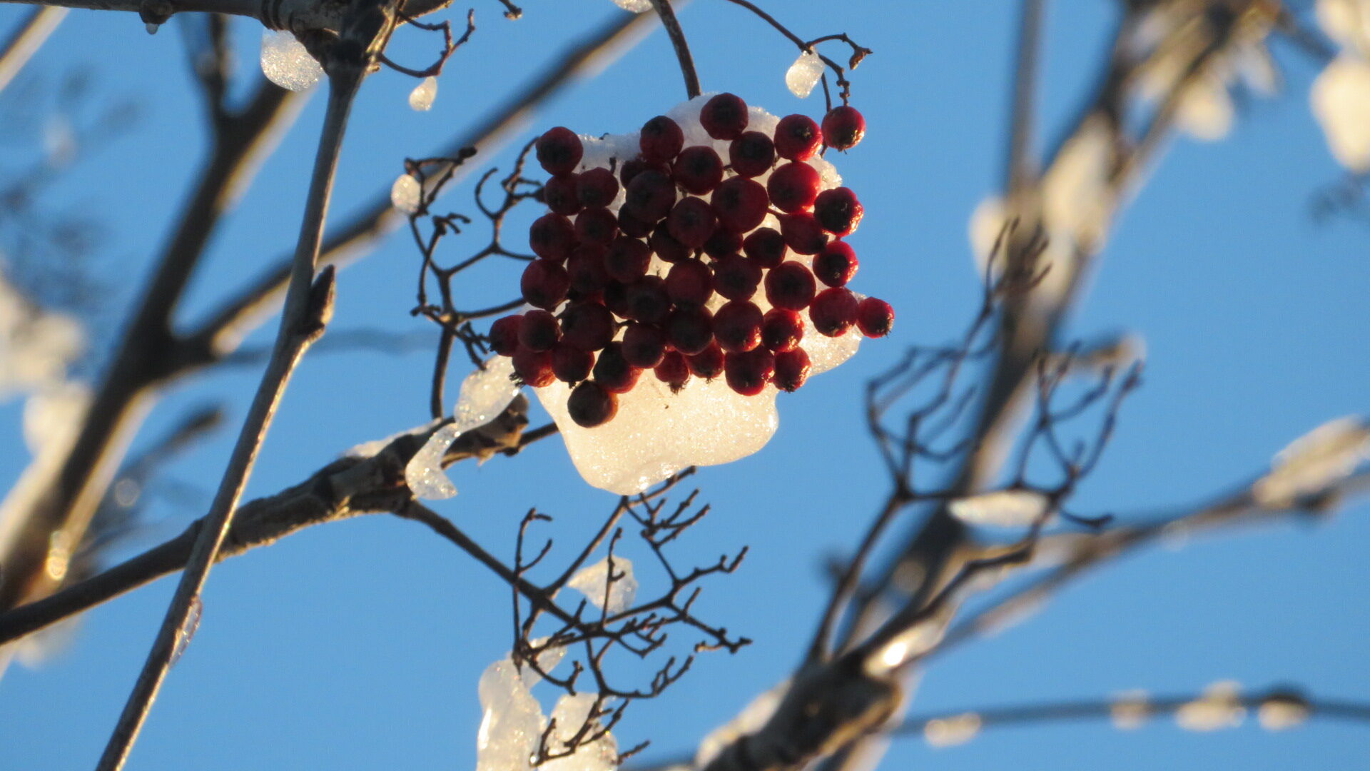 Valokuvaaja: Risto Kangassalo