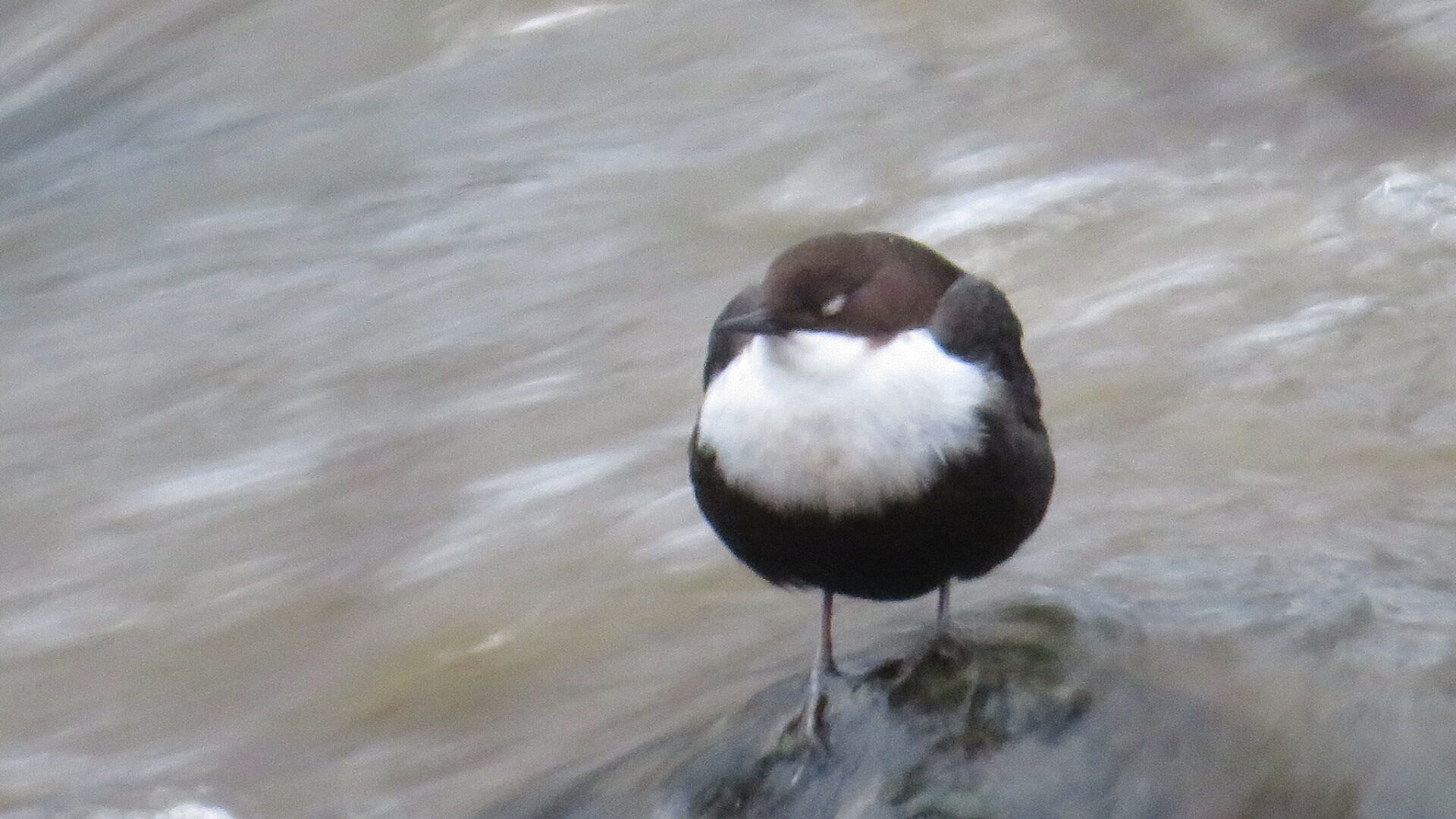 Valokuvaaja: Risto Kangassalo