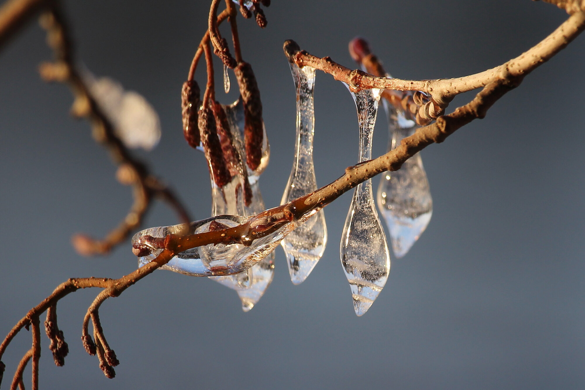 Valokuvaaja: Kirsi-Marja Joenpolvi