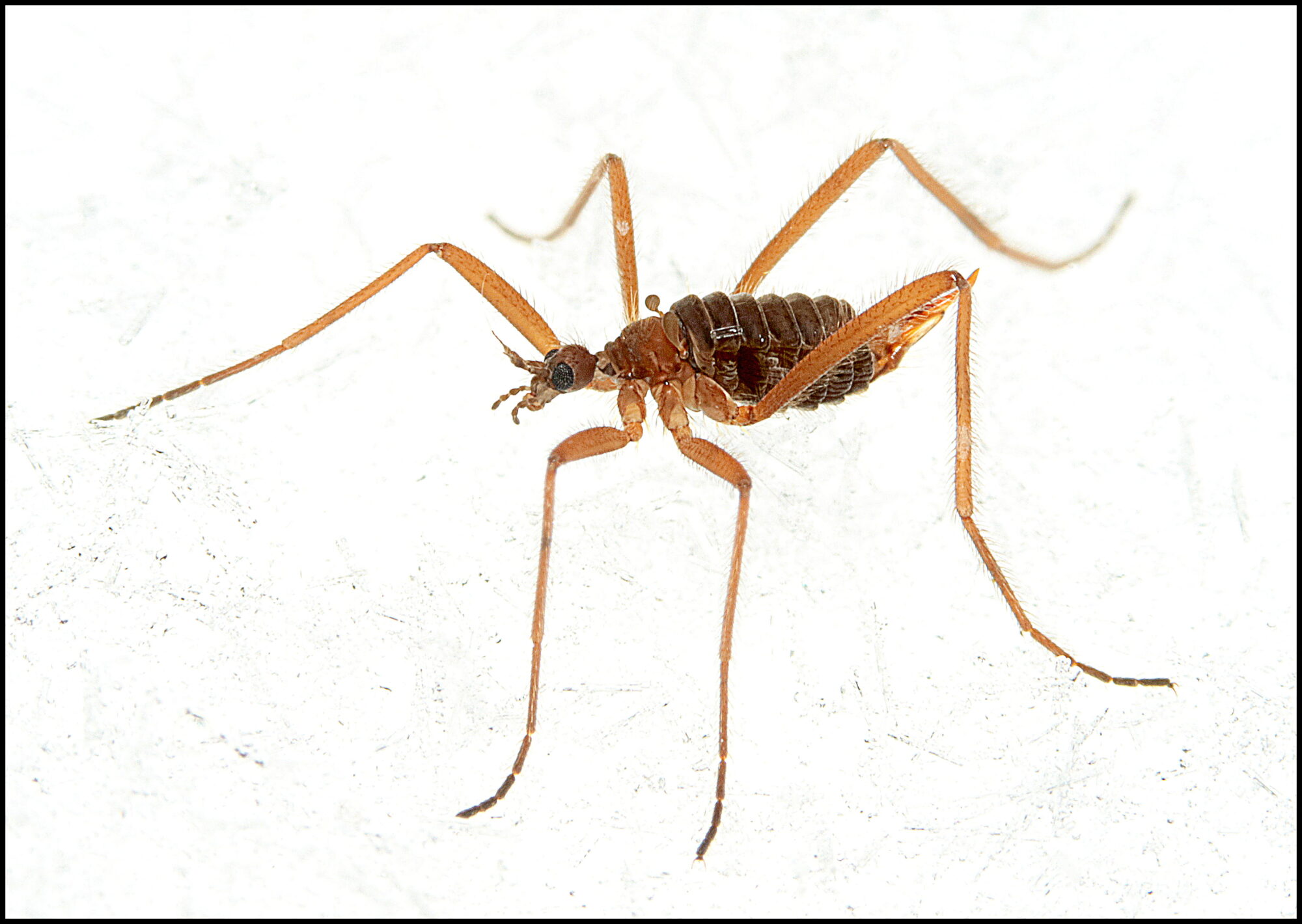 Valokuvaaja: Hannu Rasiranta Valokuvaaja: Hannu Rasiranta