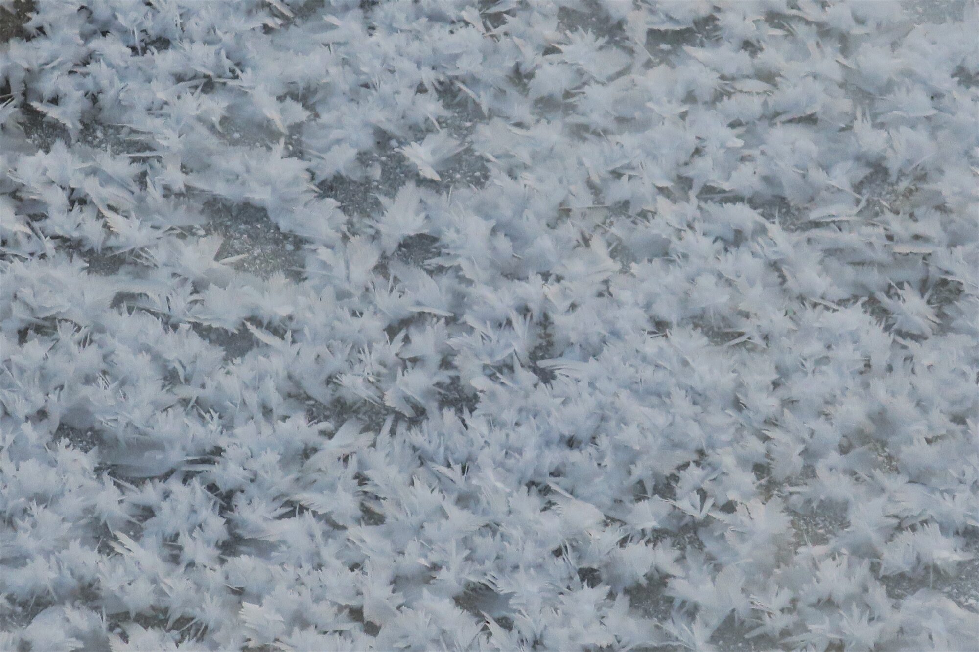 Valokuvaaja: Tuulia Ristikari