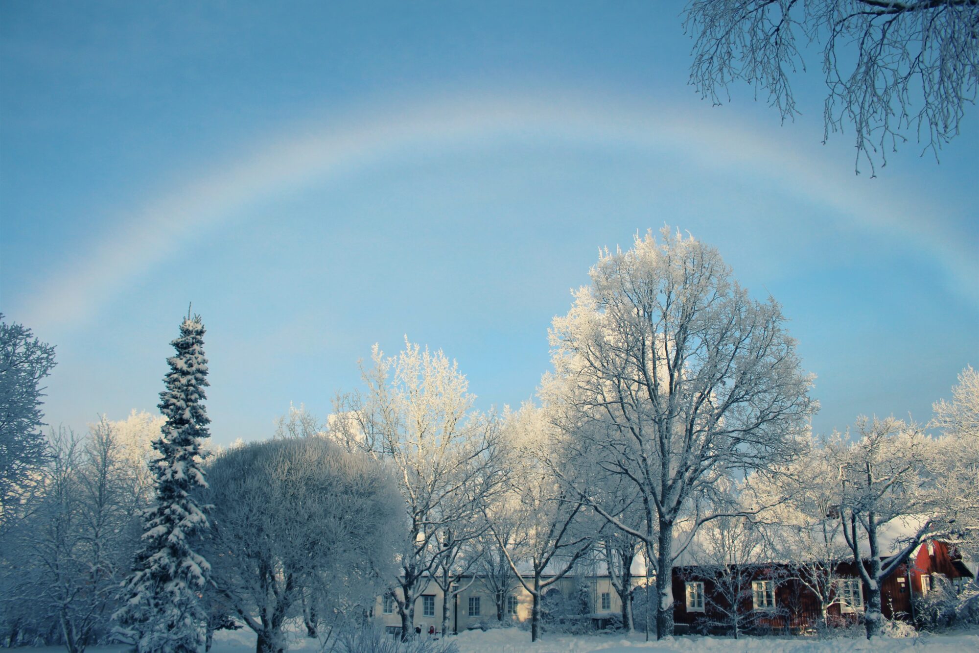 Valokuvaaja: Sari Salama