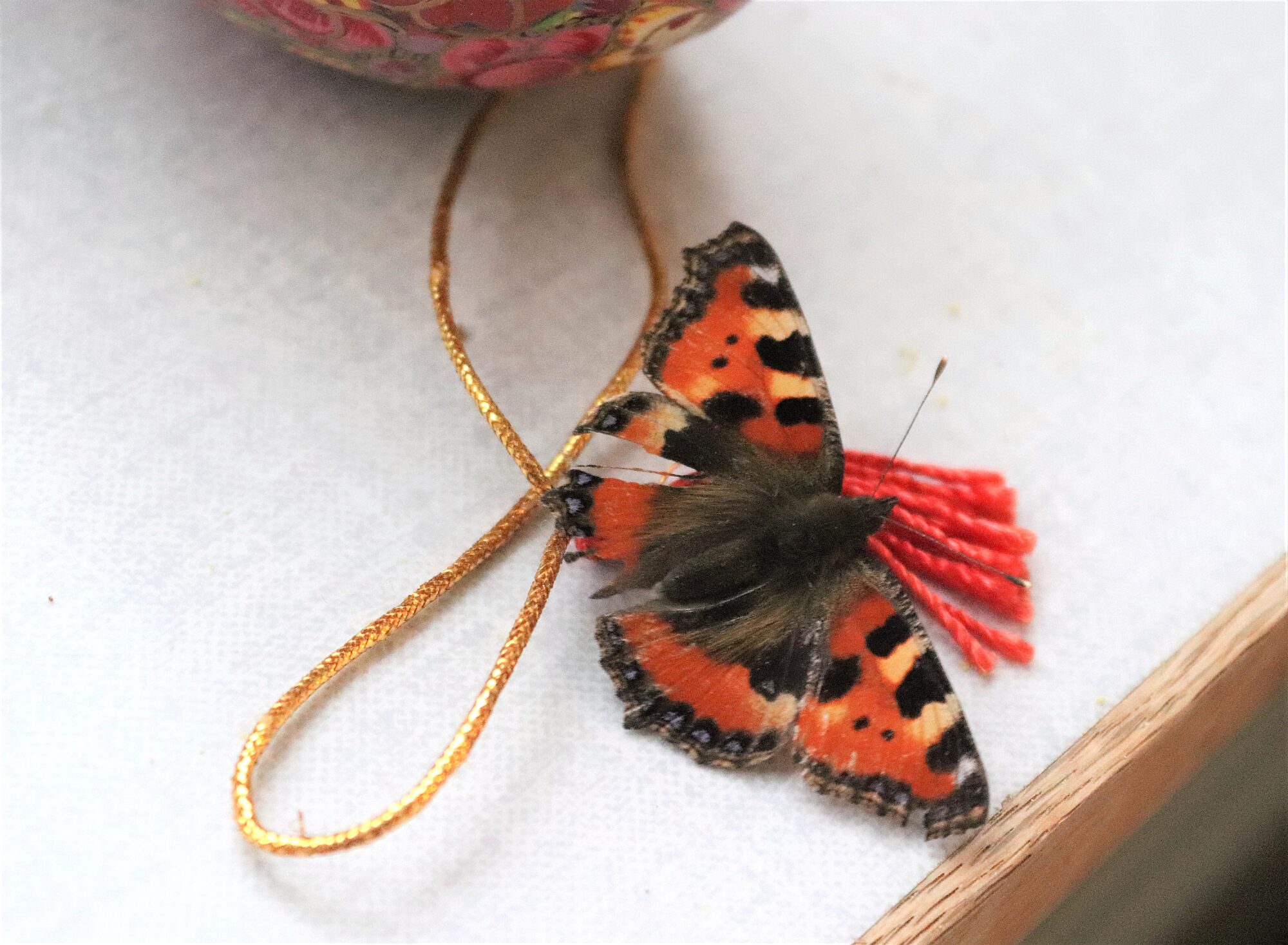 Valokuvaaja: Irja Lehtinen