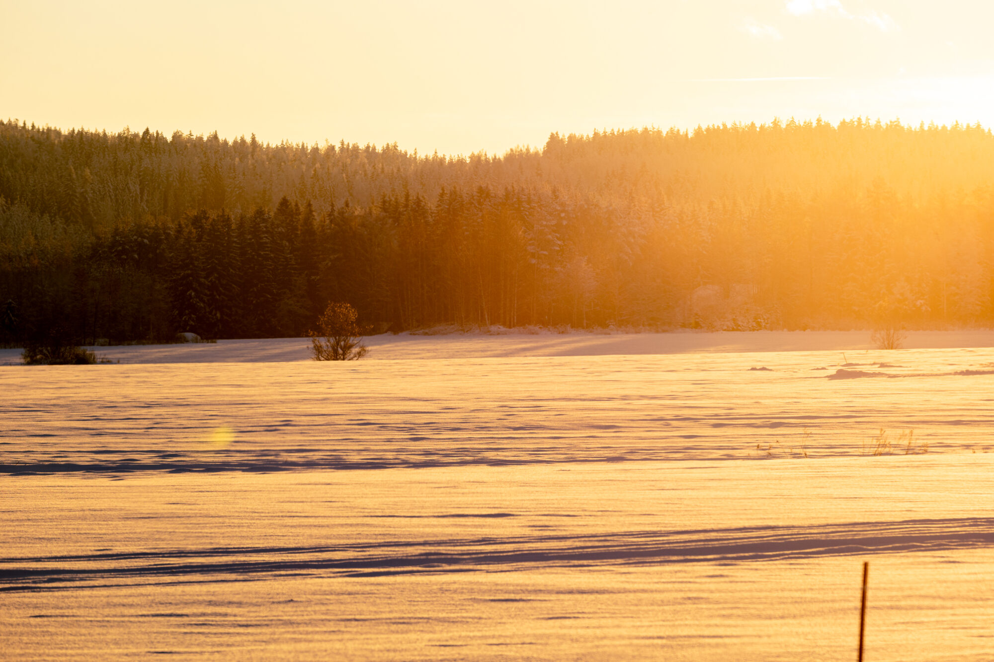 Valokuvaaja: Antti Toivanen