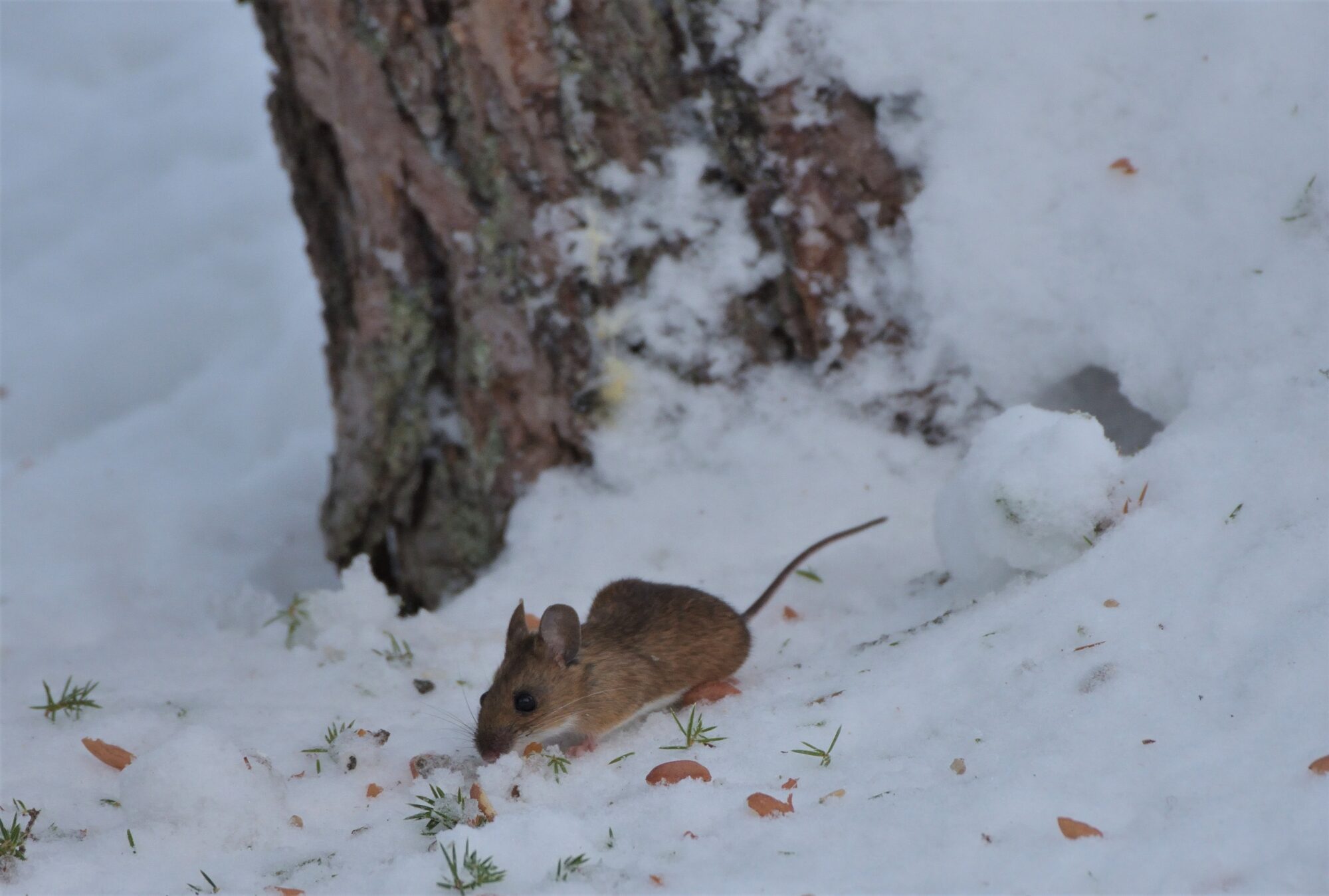Valokuvaaja: Asko Heikkinen