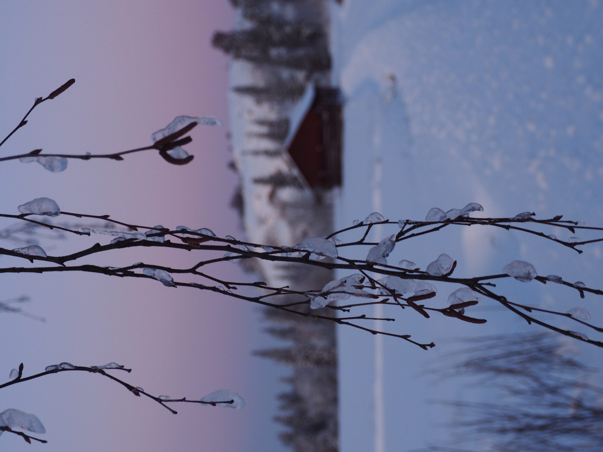 Valokuvaaja: Jenni Kauppinen