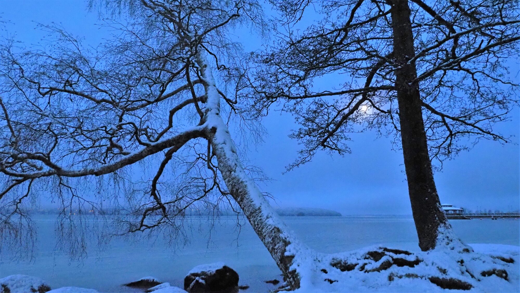 Valokuvaaja: Arja Valtonen