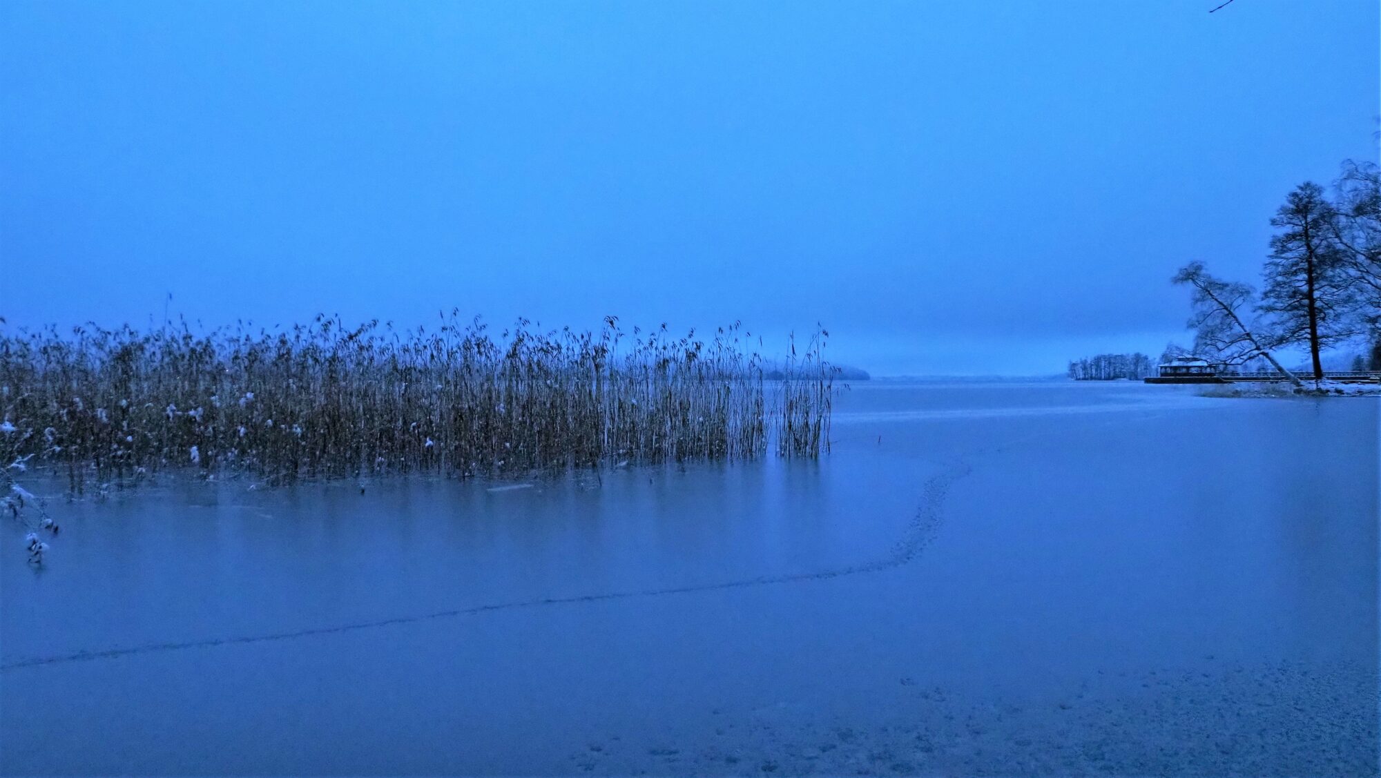 Valokuvaaja: Arja Valtonen