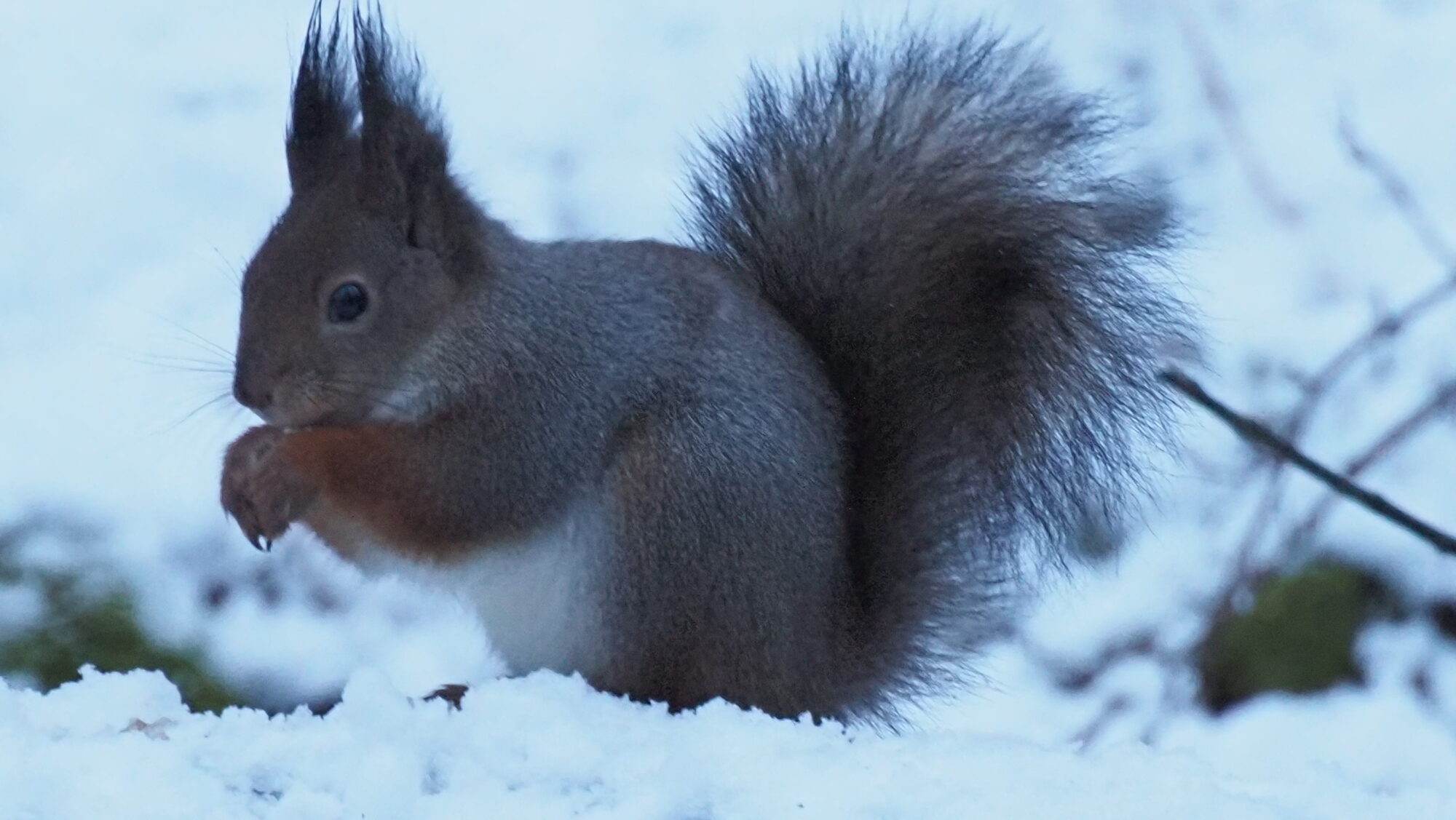 Valokuvaaja: Arja Valtonen