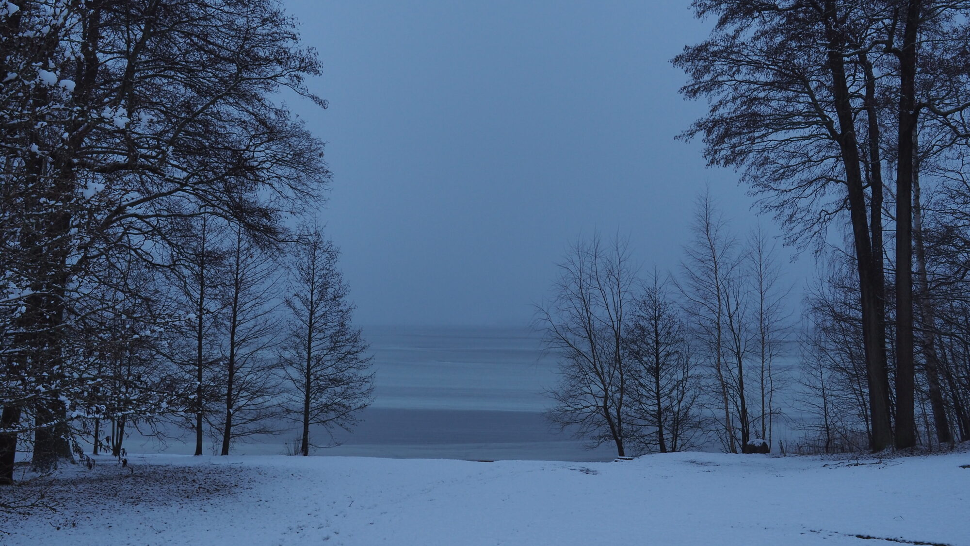 Valokuvaaja: Martti Valtonen Valokuvaaja: Martti Valtonen