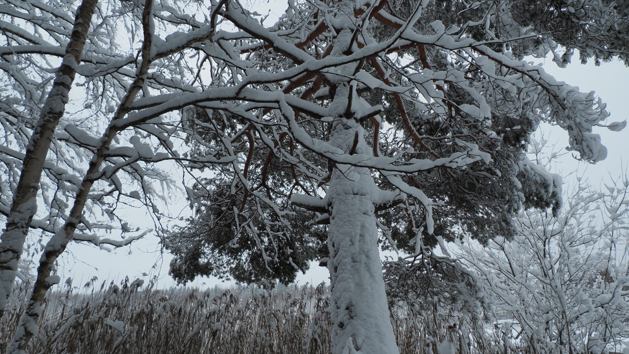 Valokuvaaja: Arja Valtonen