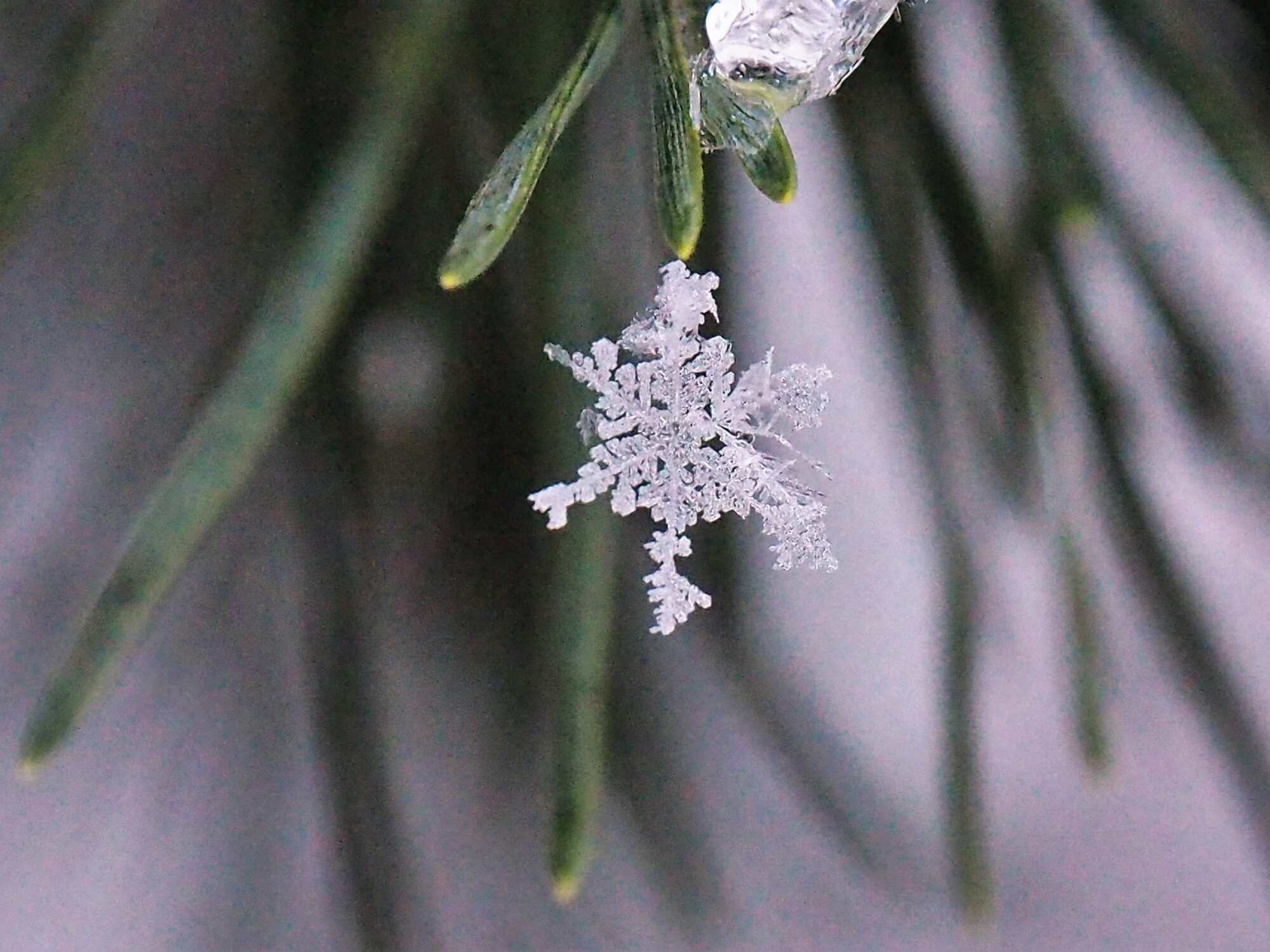 Valokuvaaja: Valtonen Martti