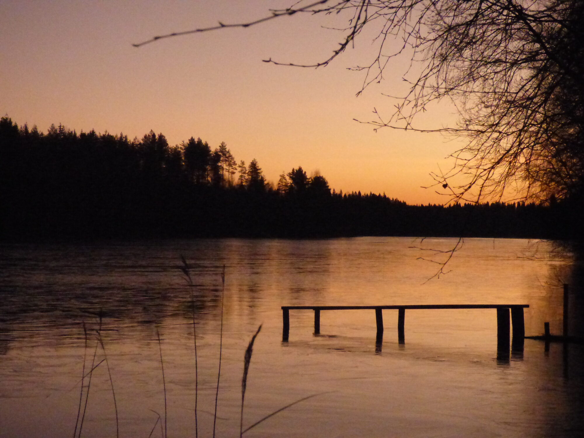 Valokuvaaja: Hannu Rissanen