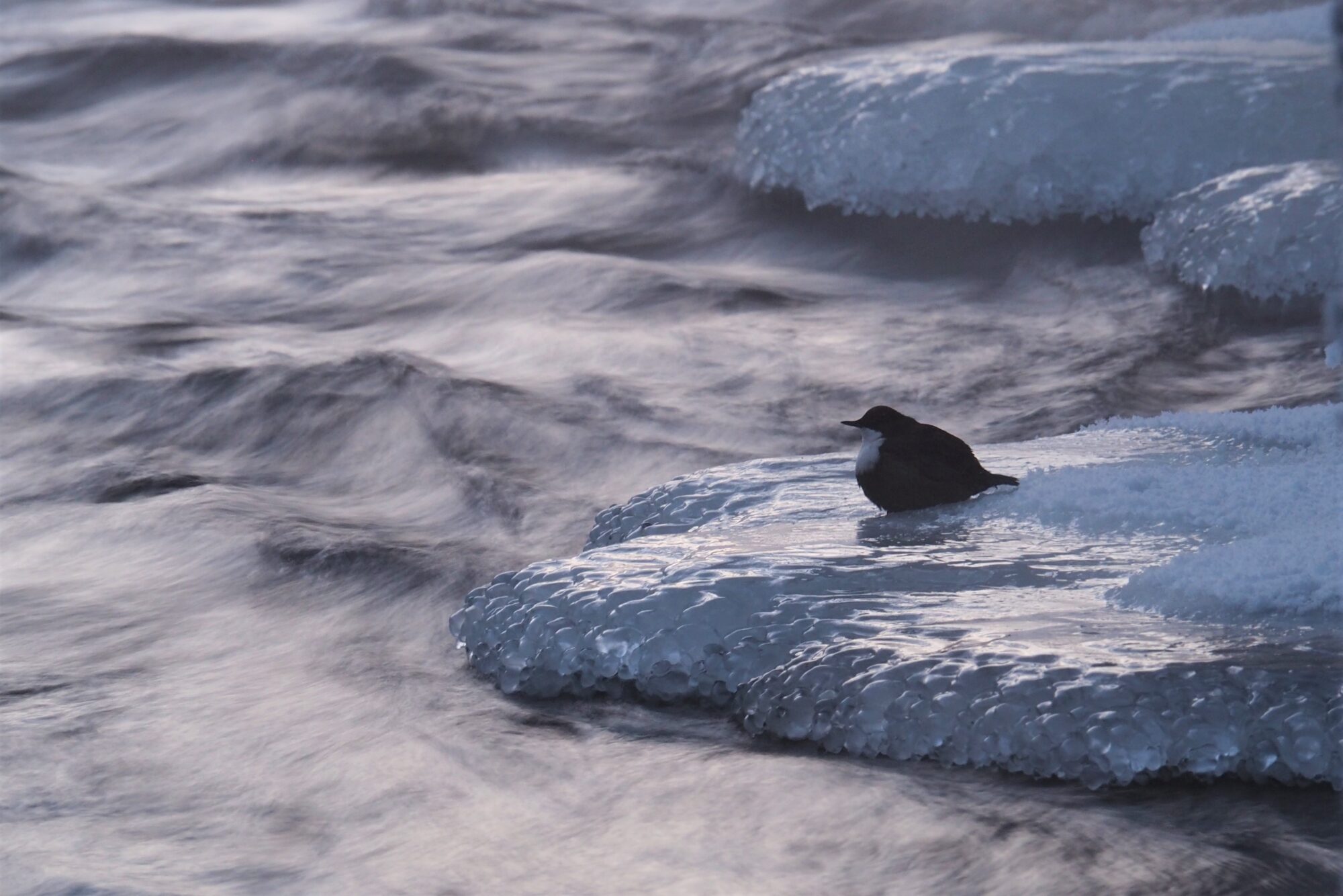 Valokuvaaja: Sami Soikkeli