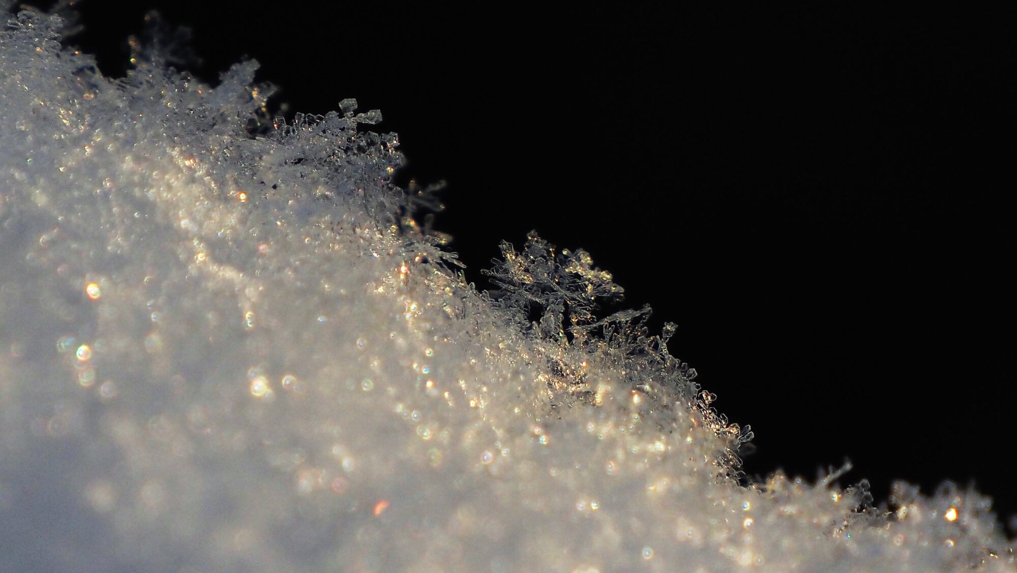 Valokuvaaja: Arja Valtonen Valokuvaaja: Arja Valtonen