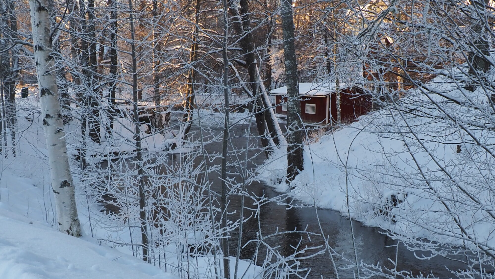 Valokuvaaja: Arja Valtonen