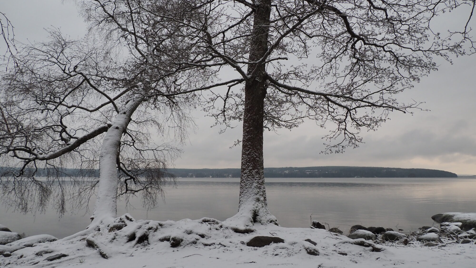 Valokuvaaja: Arja Valtonen