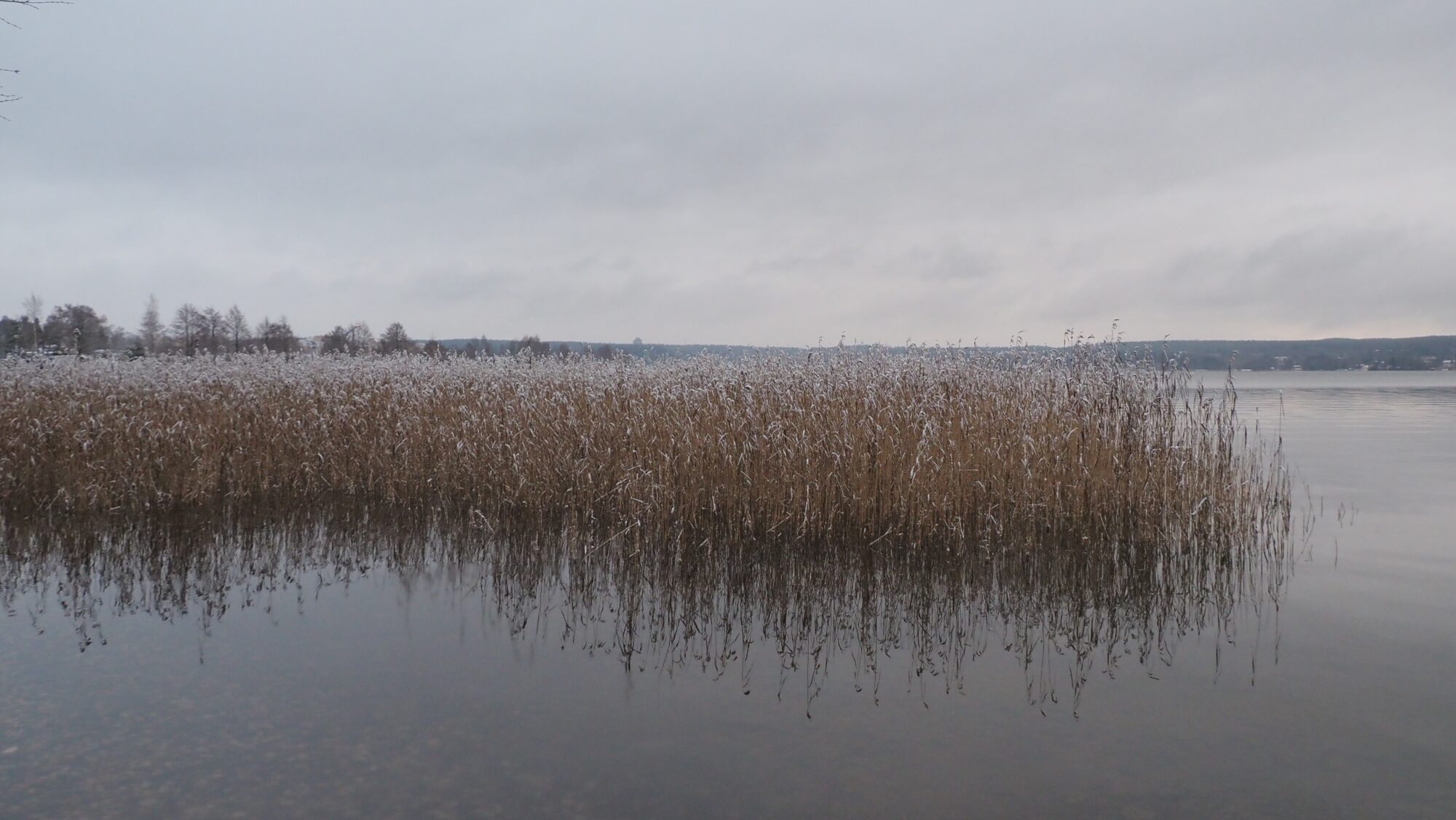 Valokuvaaja: Arja Valtonen