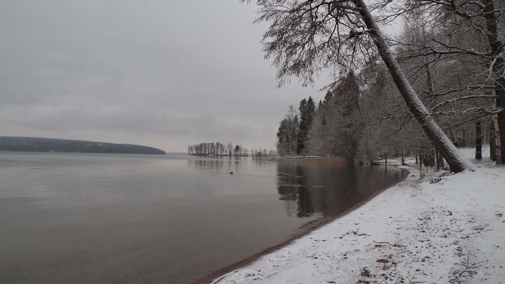 Valokuvaaja: Arja Valtonen