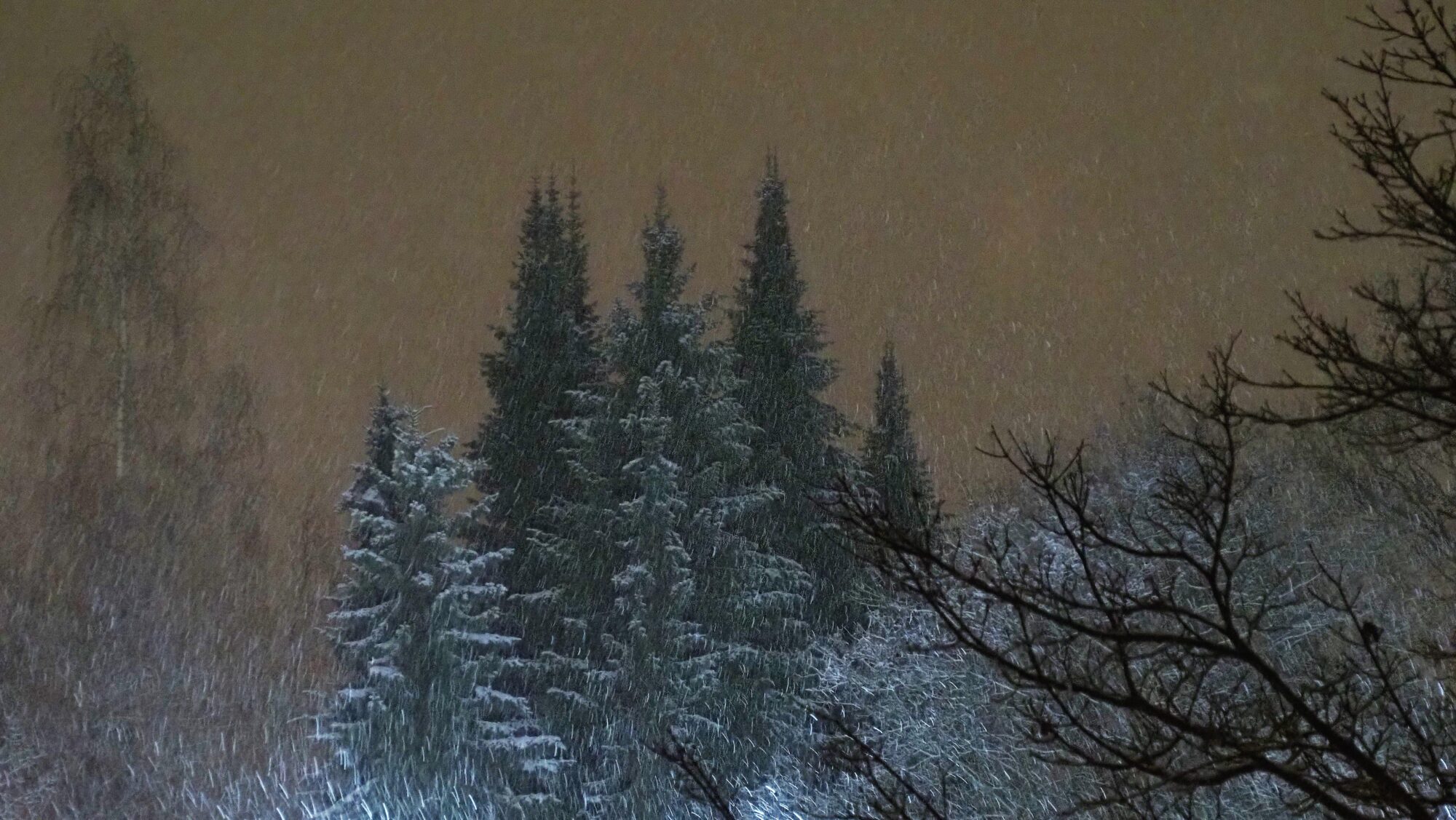 Valokuvaaja: Arja Valtonen