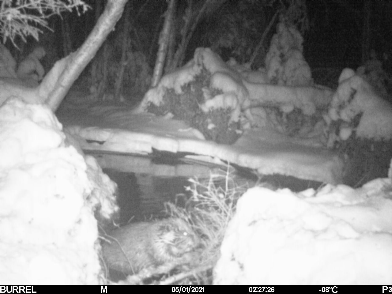 Valokuvaaja: Hannu Rissanen