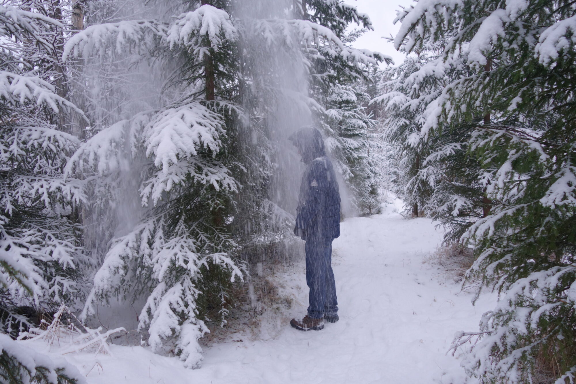 Valokuvaaja: Kaarlo Asikainen