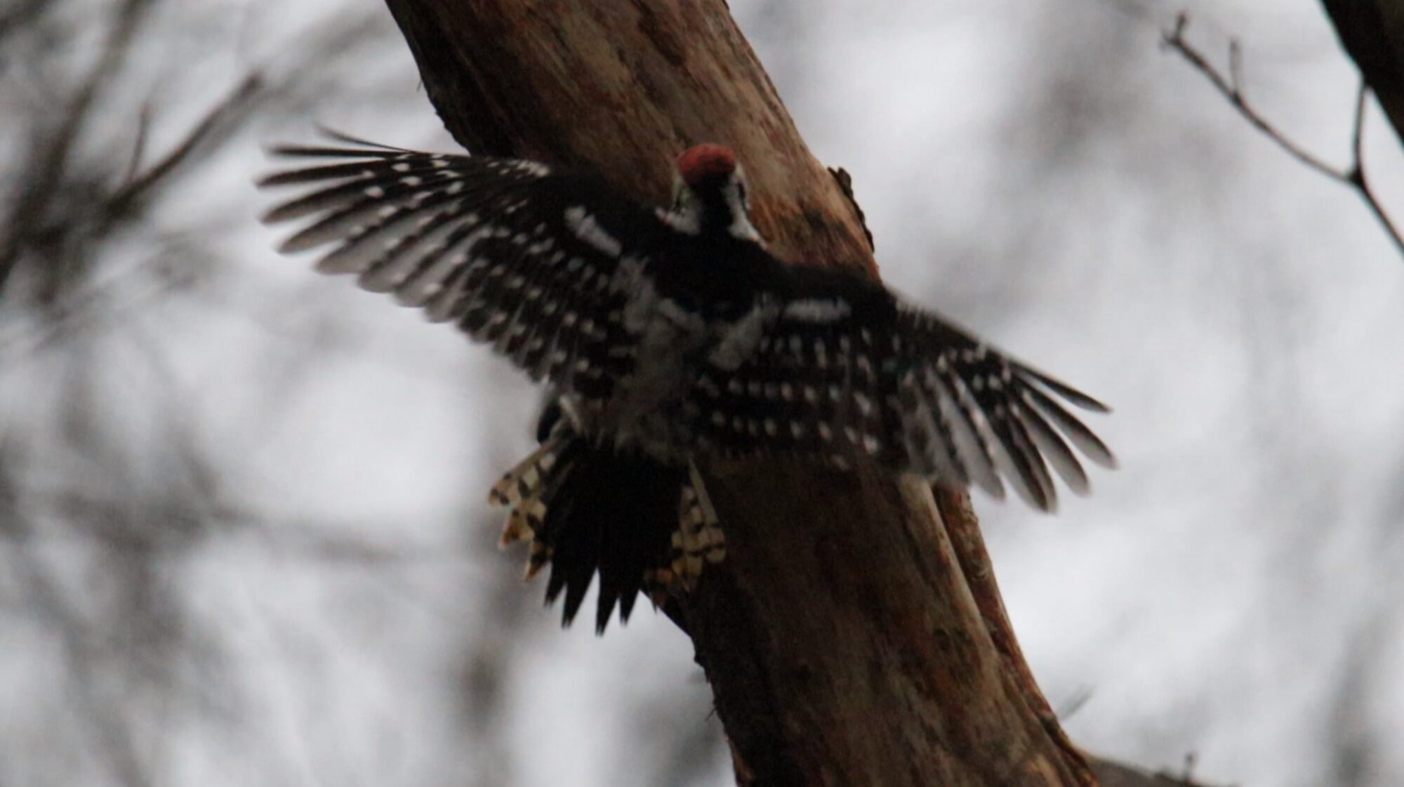 Valokuvaaja: Janne Salomeri