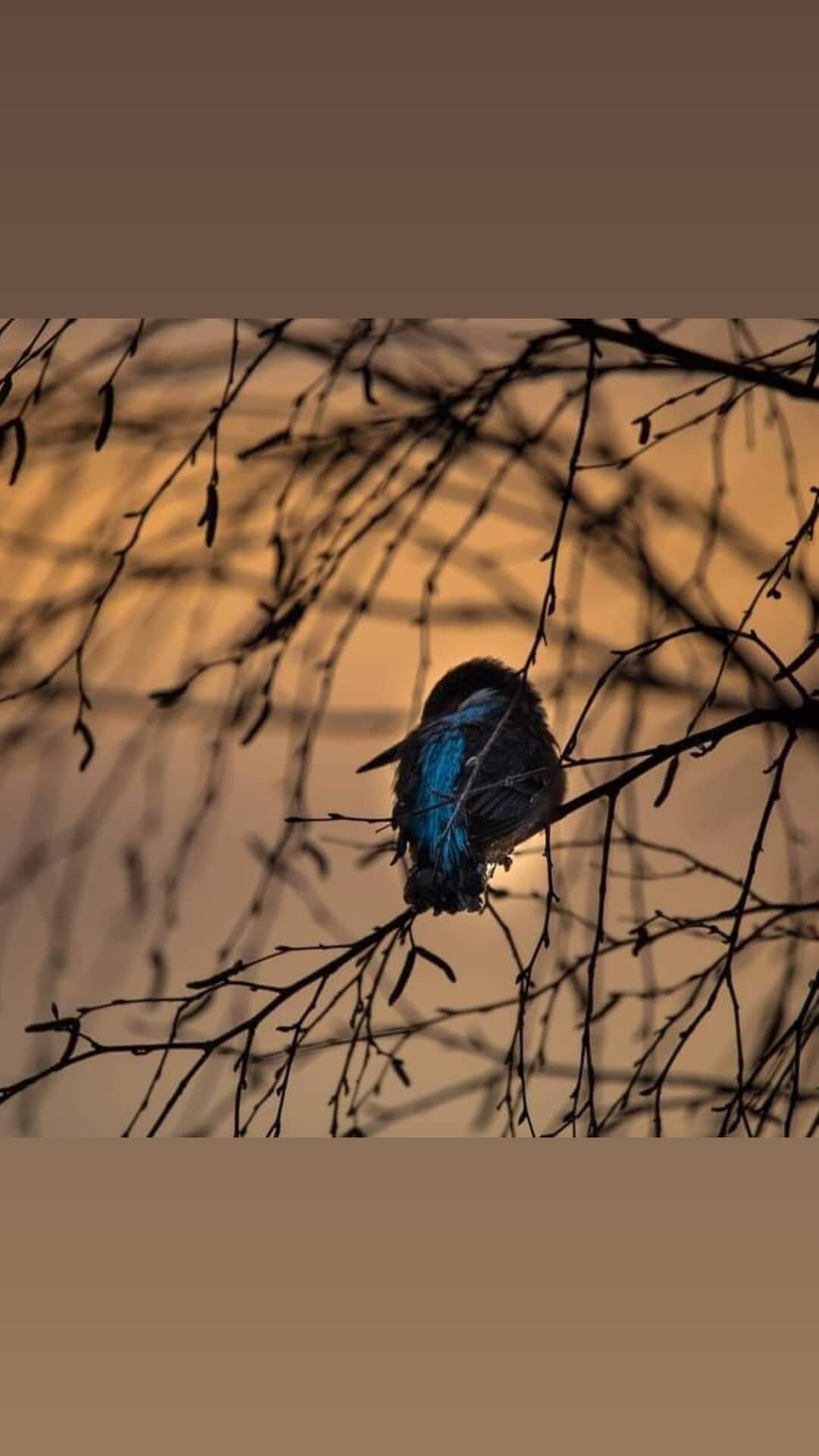 Valokuvaaja: Timo Hälvä