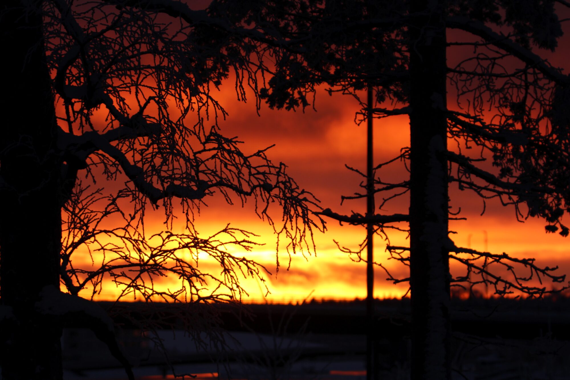 Valokuvaaja: Jaana Saarelainen