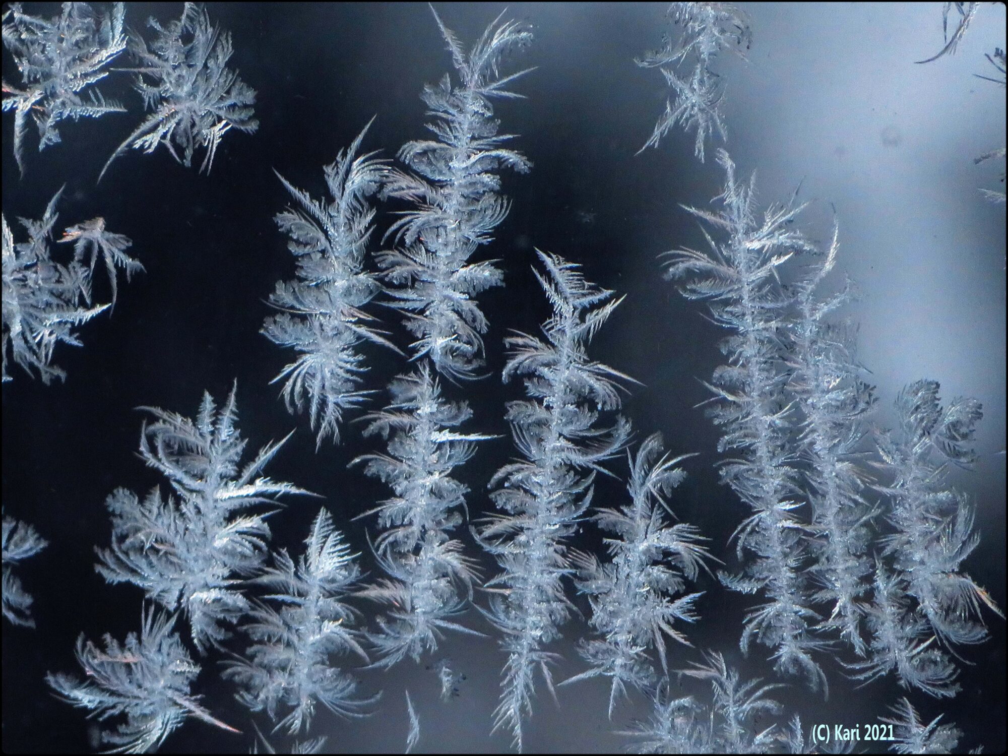 Valokuvaaja: Kari Saarinen