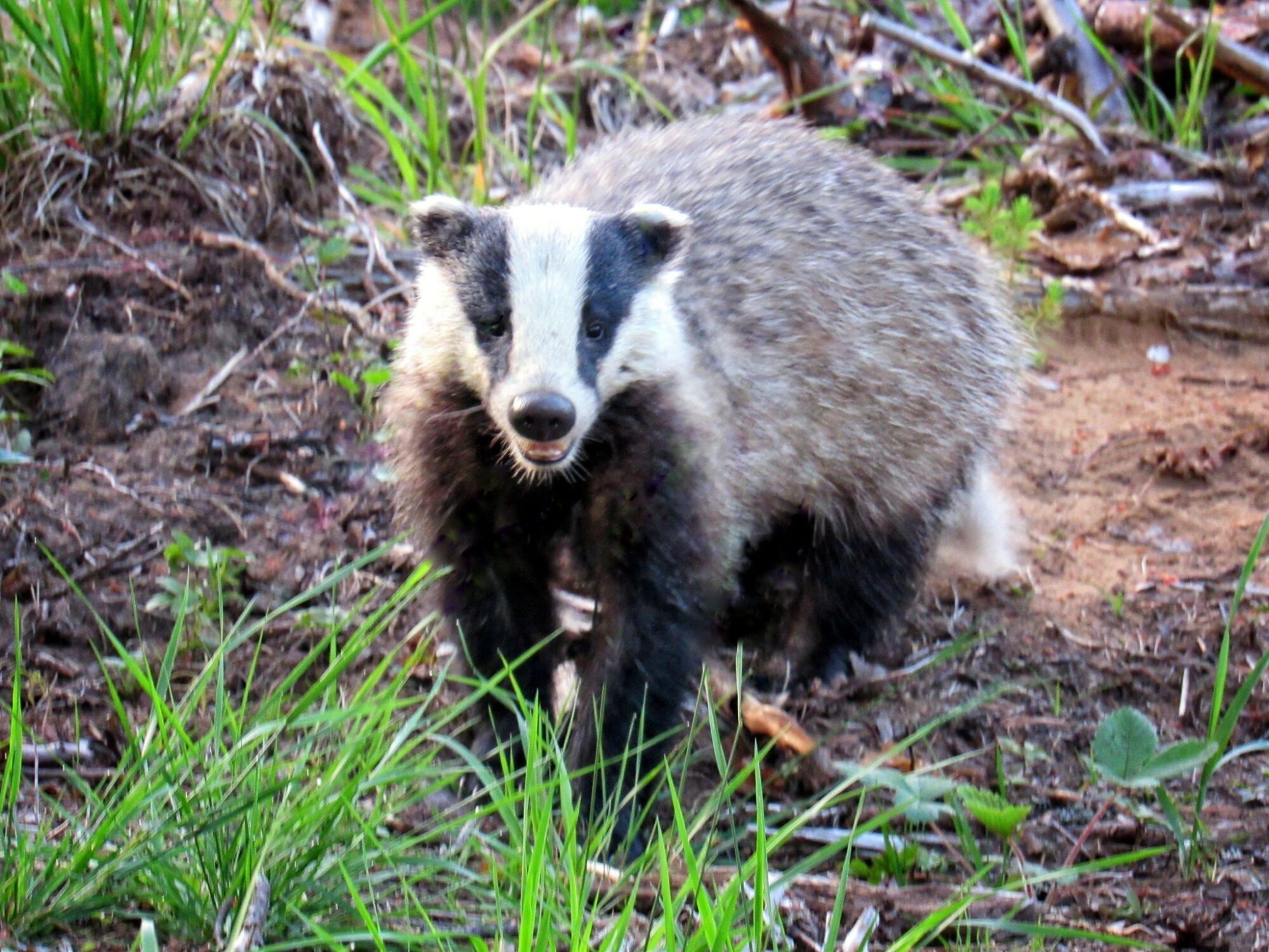 Valokuvaaja: jani heinonen